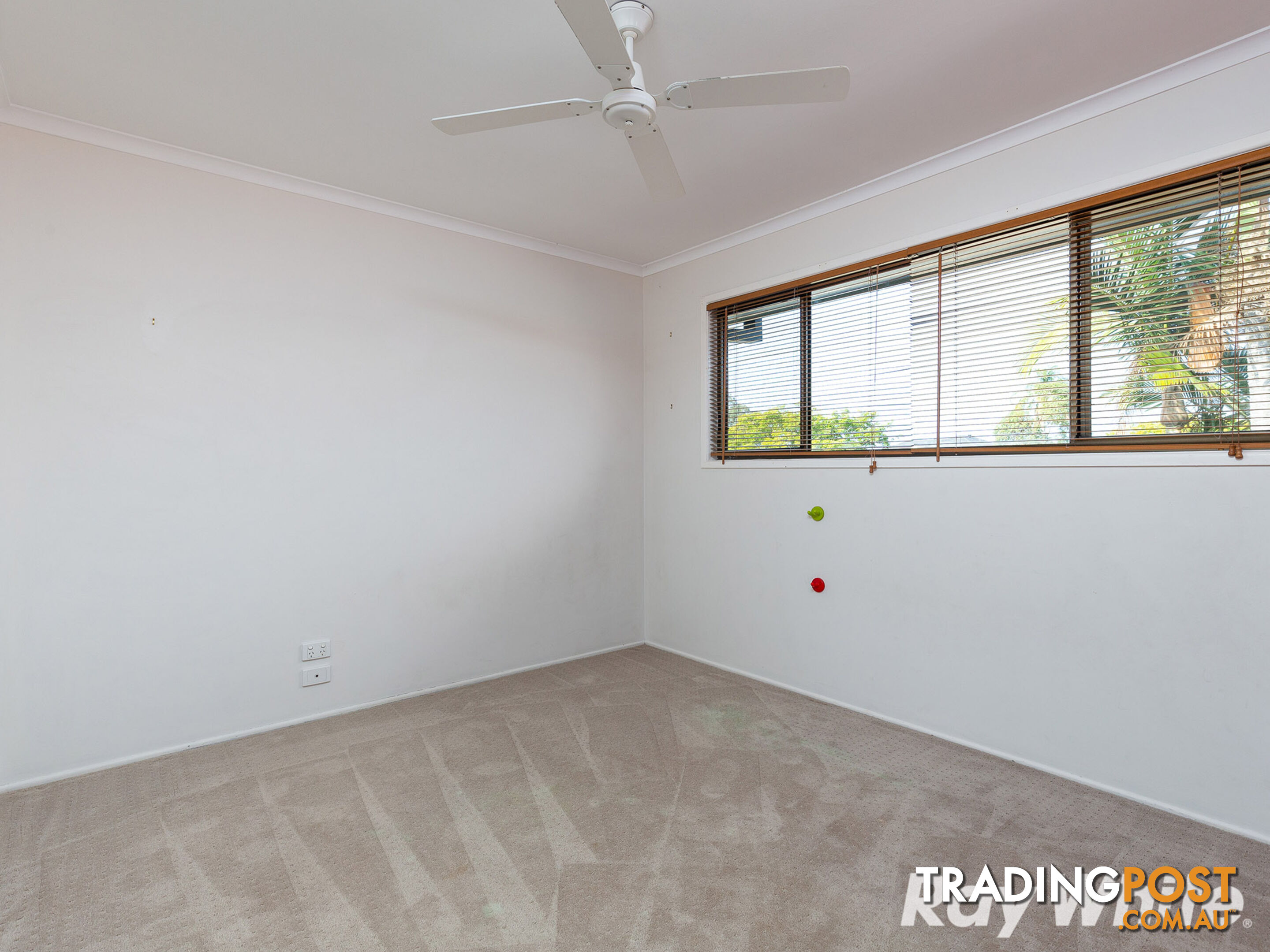 5 Hillianna Street ALGESTER QLD 4115