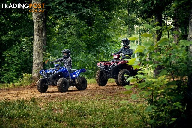 2019 YAMAHA YFM90RYXL GRIZZLY 90 90CC MY20 ATV