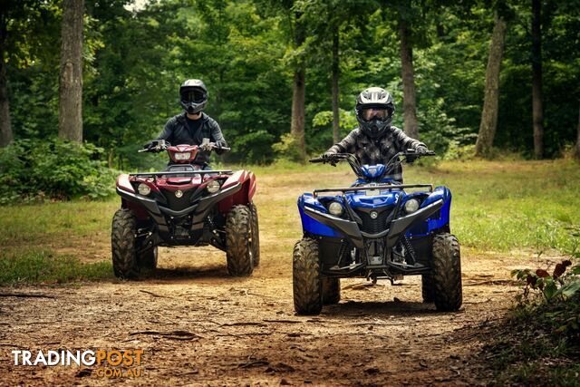 2019 YAMAHA YFM90RYXL GRIZZLY 90 90CC MY20 ATV