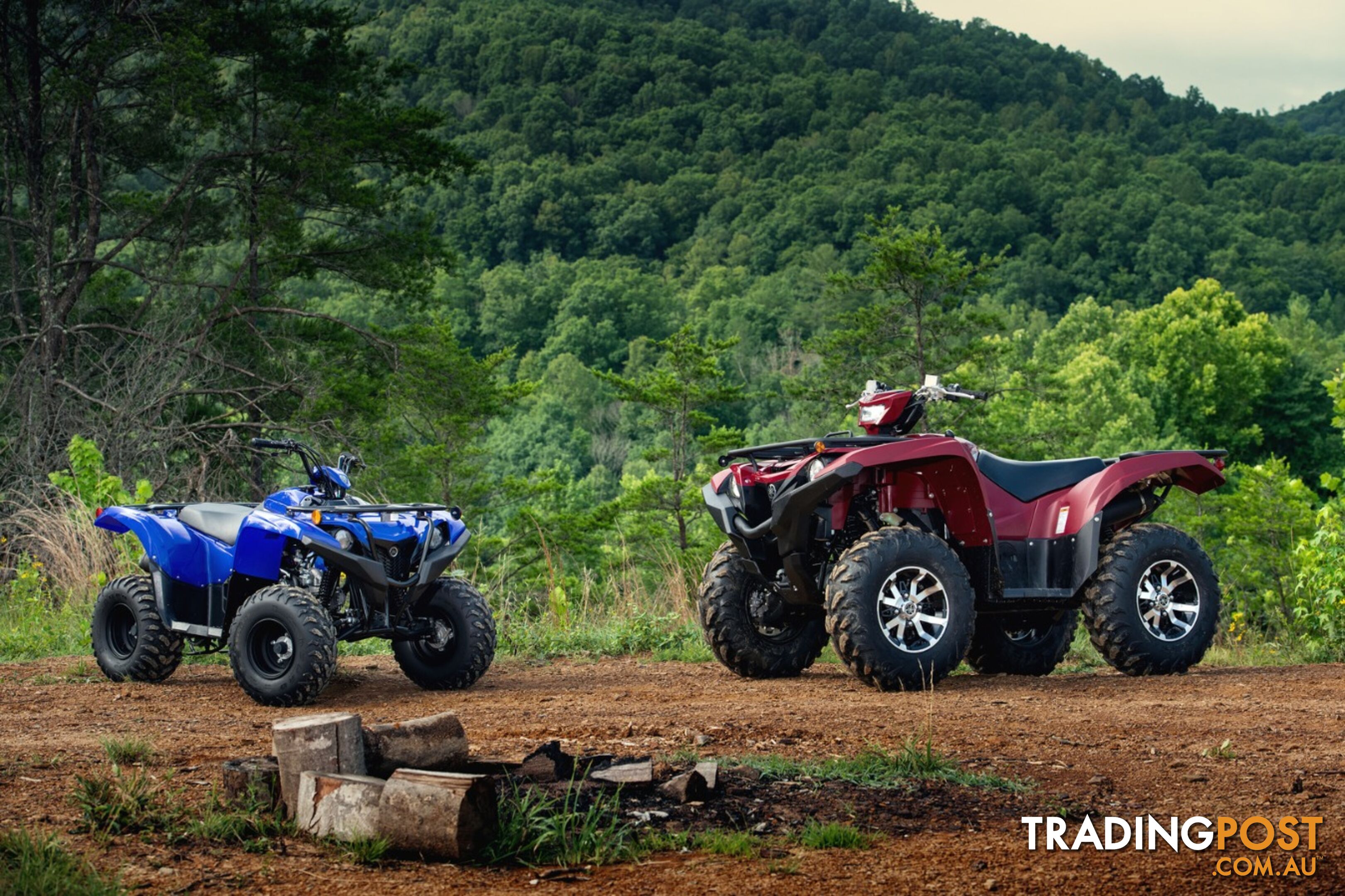 2019 YAMAHA YFM90RYXL GRIZZLY 90 90CC MY20 ATV