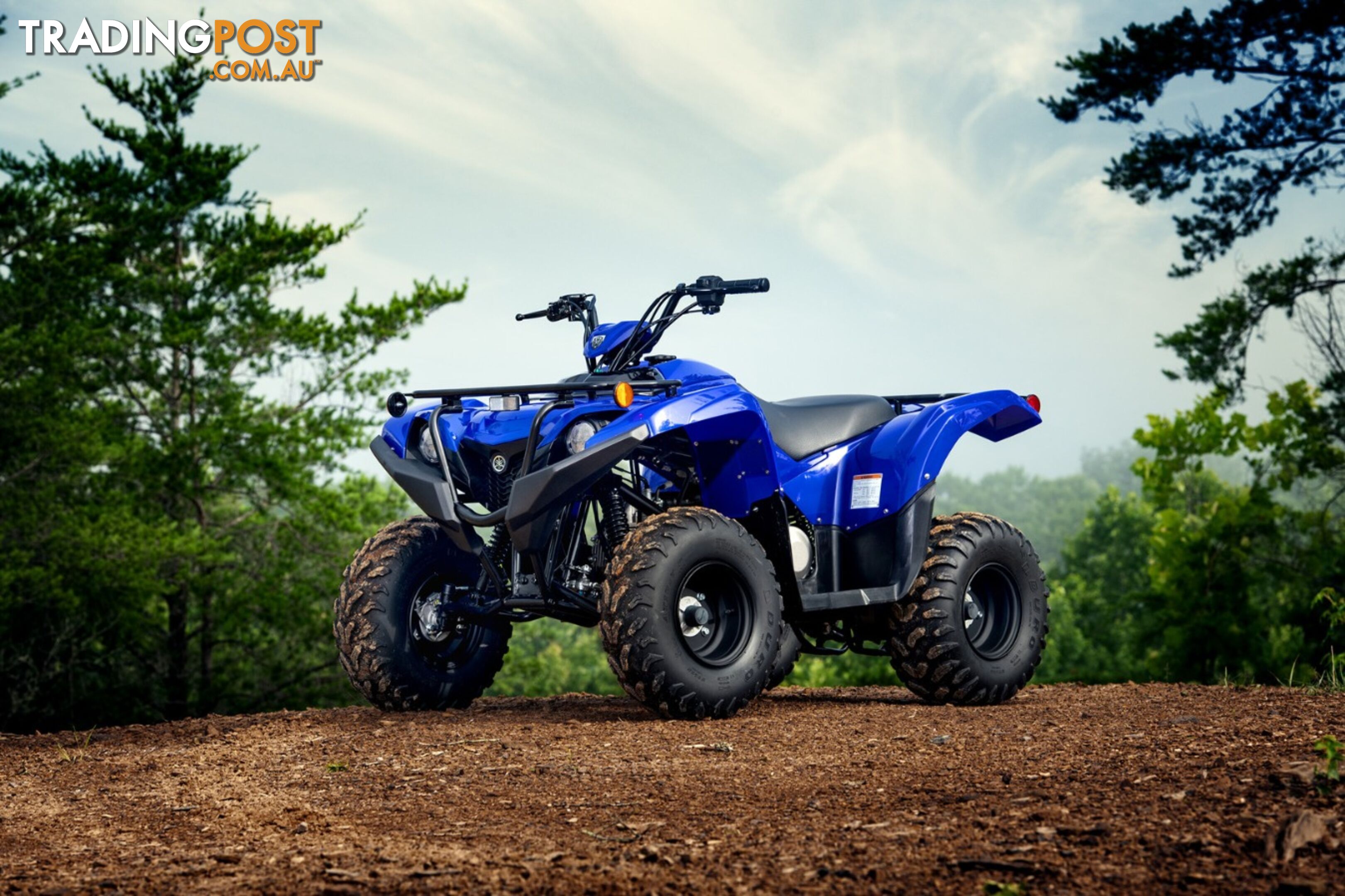 2019 YAMAHA YFM90RYXL GRIZZLY 90 90CC MY20 ATV