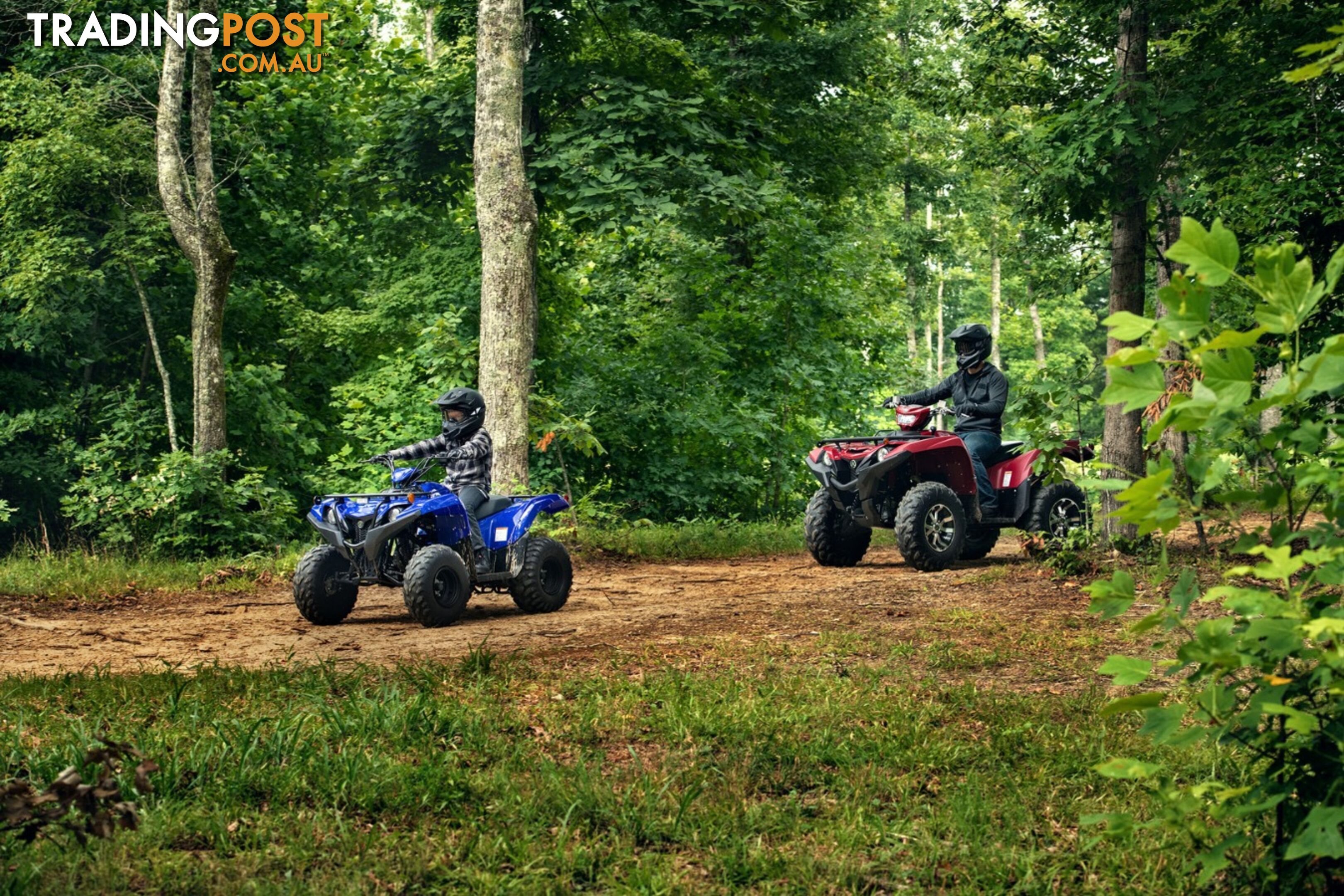 2019 YAMAHA YFM90RYXL GRIZZLY 90 90CC MY20 ATV