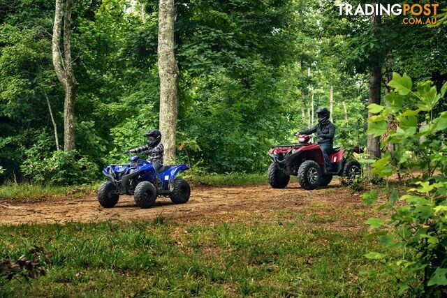 2019 YAMAHA YFM90RYXL GRIZZLY 90 90CC MY20 ATV