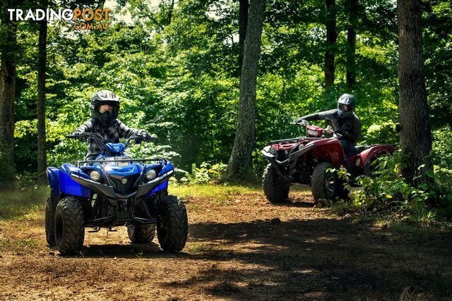 2019 YAMAHA YFM90RYXL GRIZZLY 90 90CC MY20 ATV