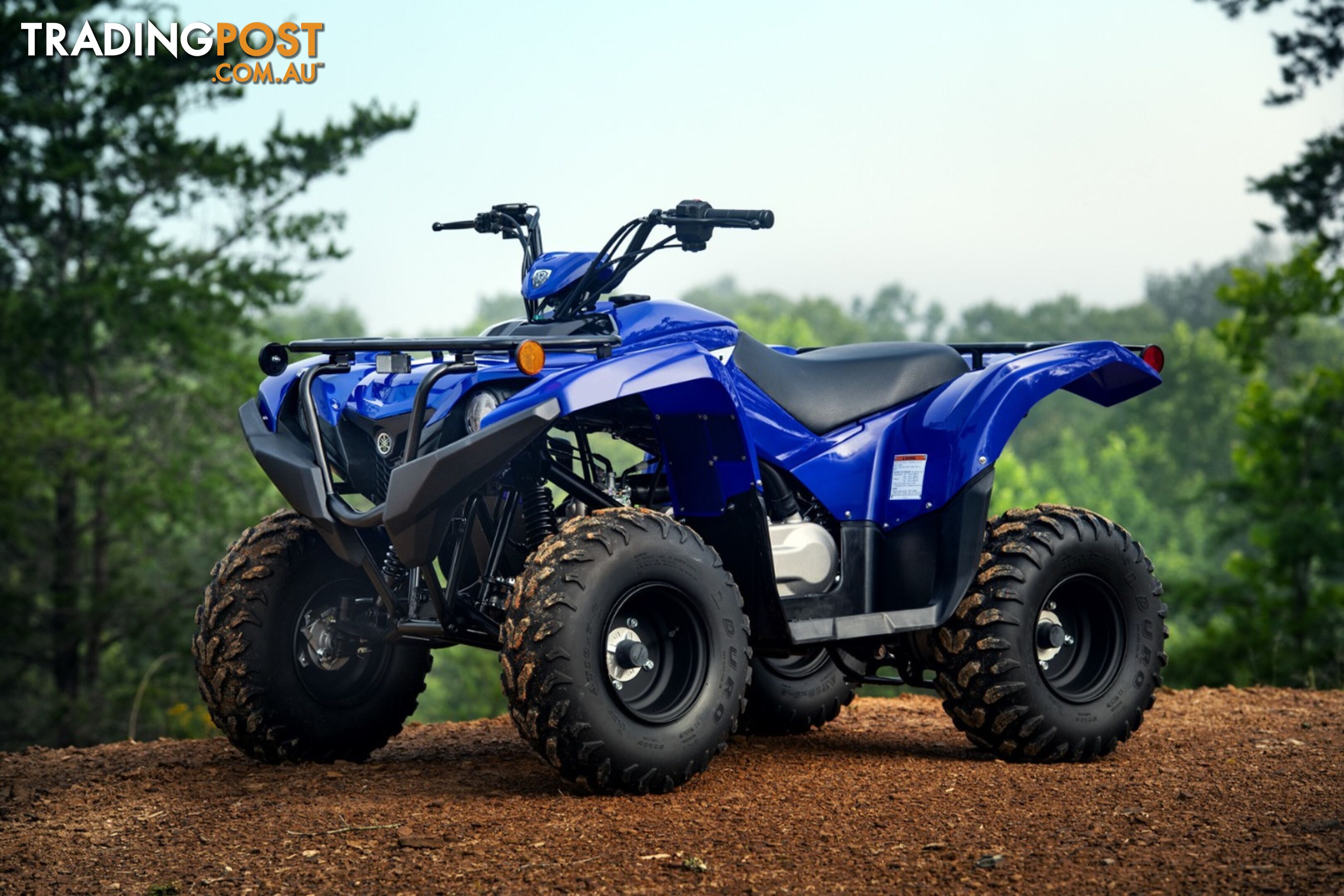 2019 YAMAHA YFM90RYXL GRIZZLY 90 90CC MY20 ATV