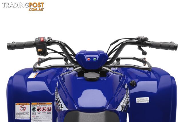 2019 YAMAHA YFM90RYX GRIZZLY 90 90CC MY19 ATV - photo 5 of 21