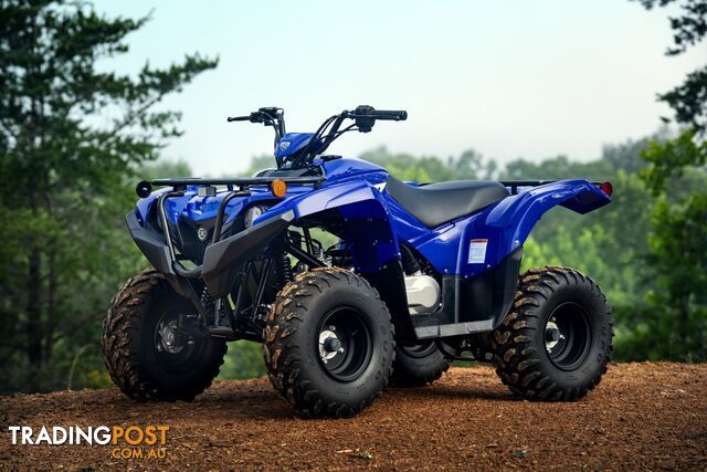 2019 YAMAHA YFM90RYX GRIZZLY 90 90CC MY19 ATV - photo 2 of 21