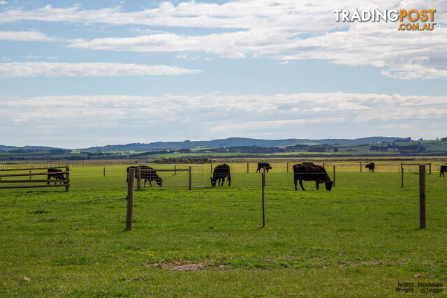 22B Lower Powlett Road Wonthaggi VIC 3995