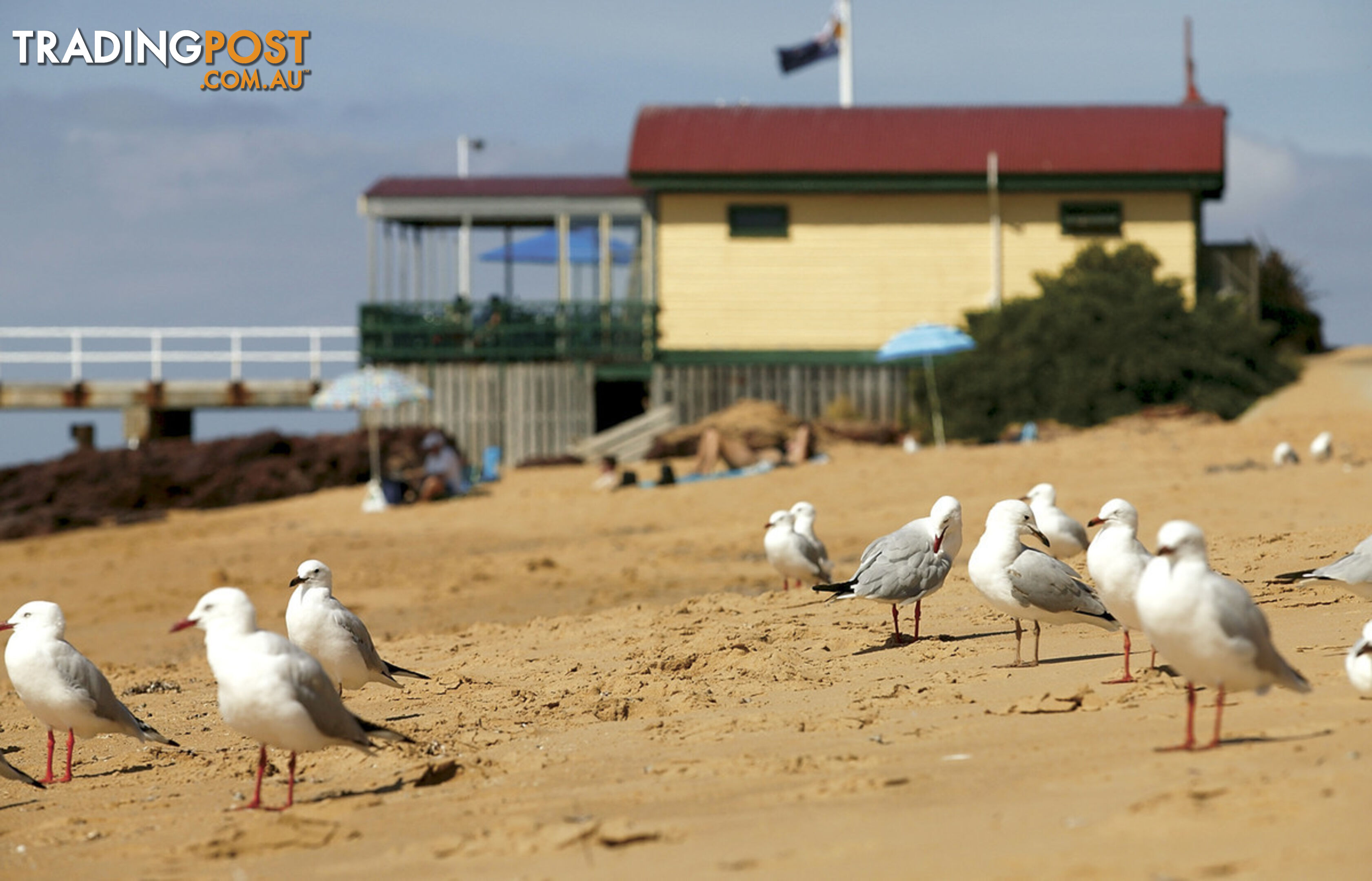 Shop 1 90-92 Back Beach Road San Remo VIC 3925