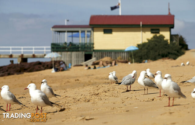 Shop 1 90-92 Back Beach Road San Remo VIC 3925