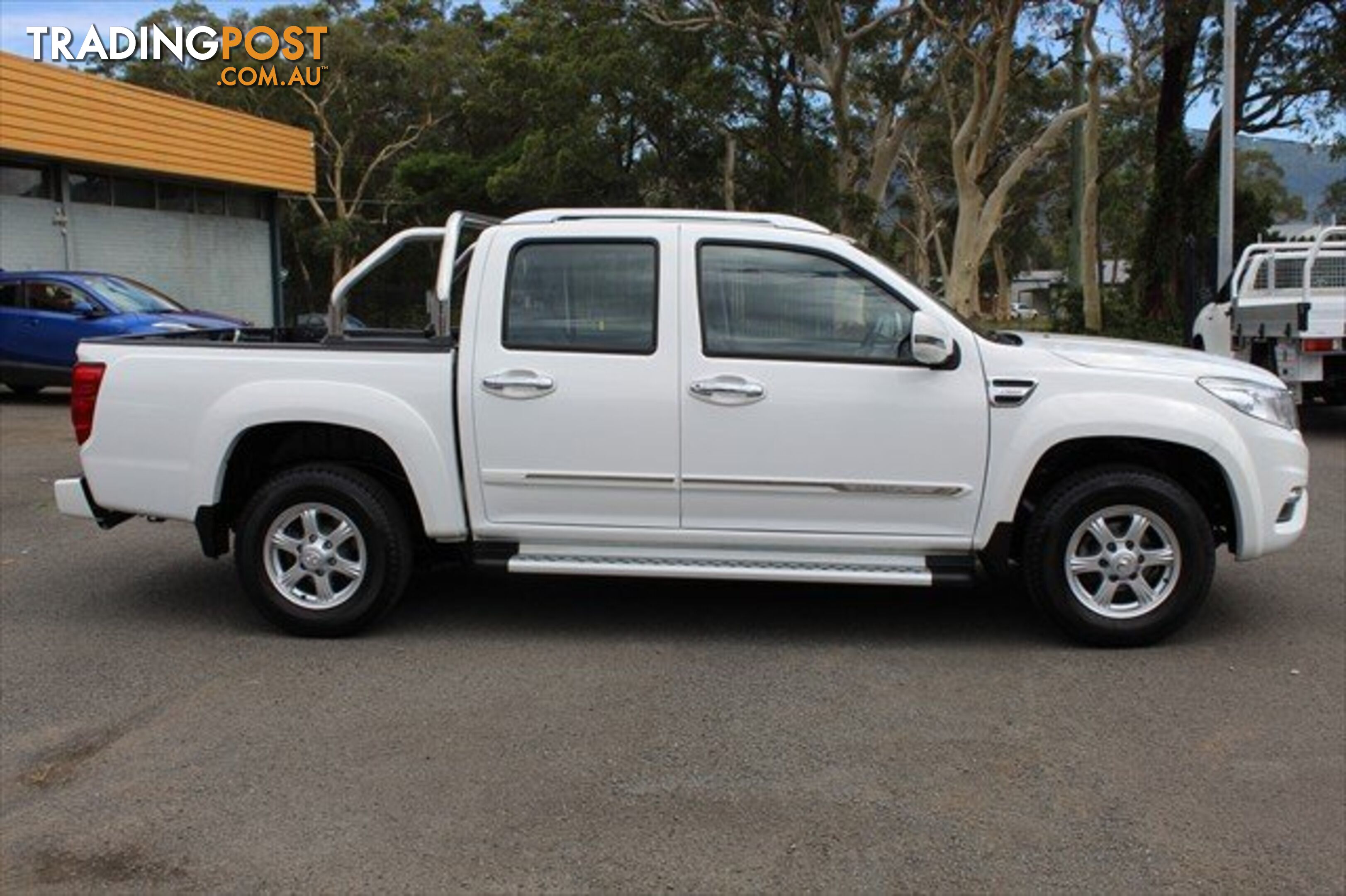 2019 GREAT WALL STEED  NBP UTILITY - DUAL CAB