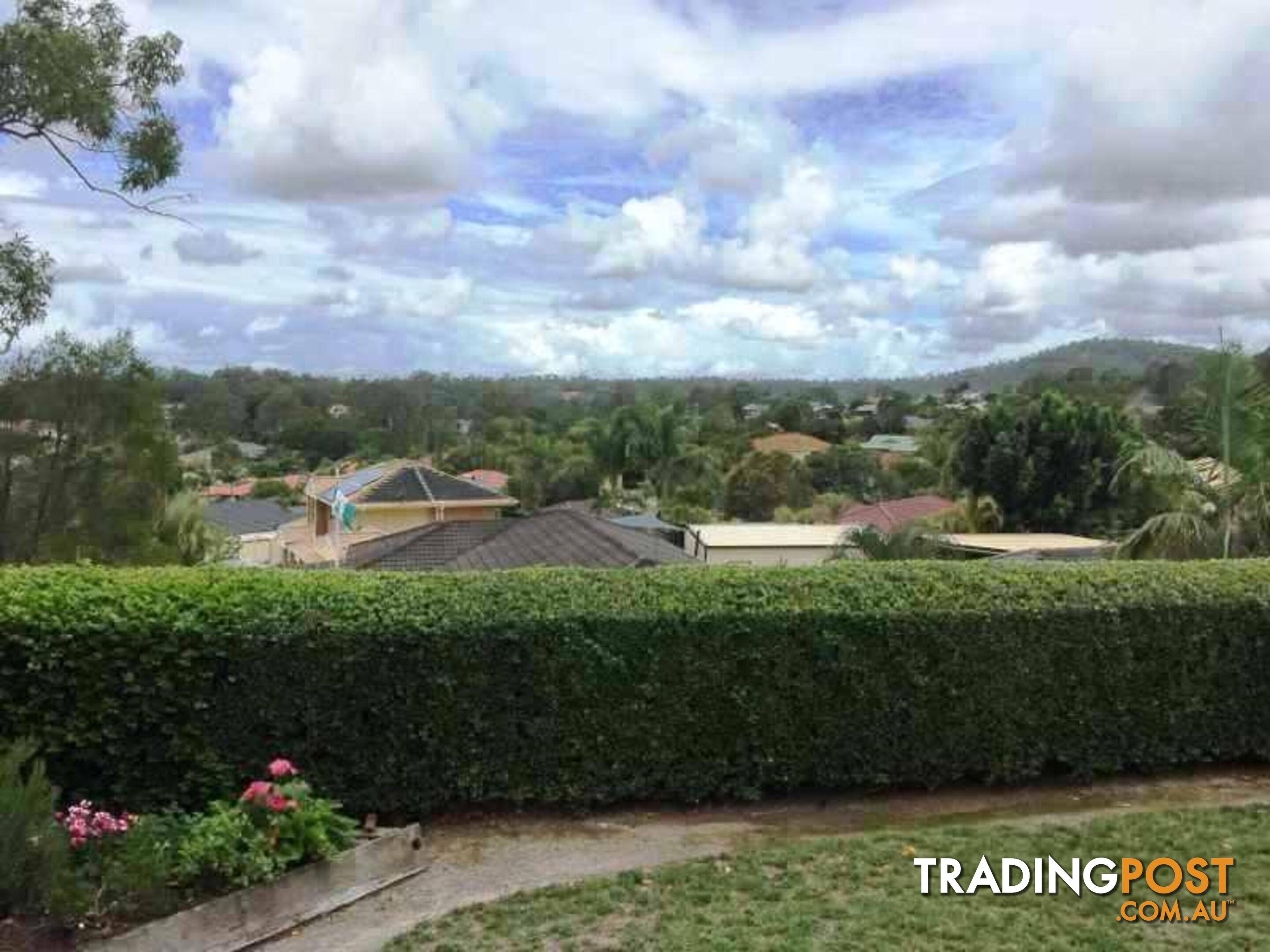 59 Stanfield Drive Upper Coomera QLD 4209