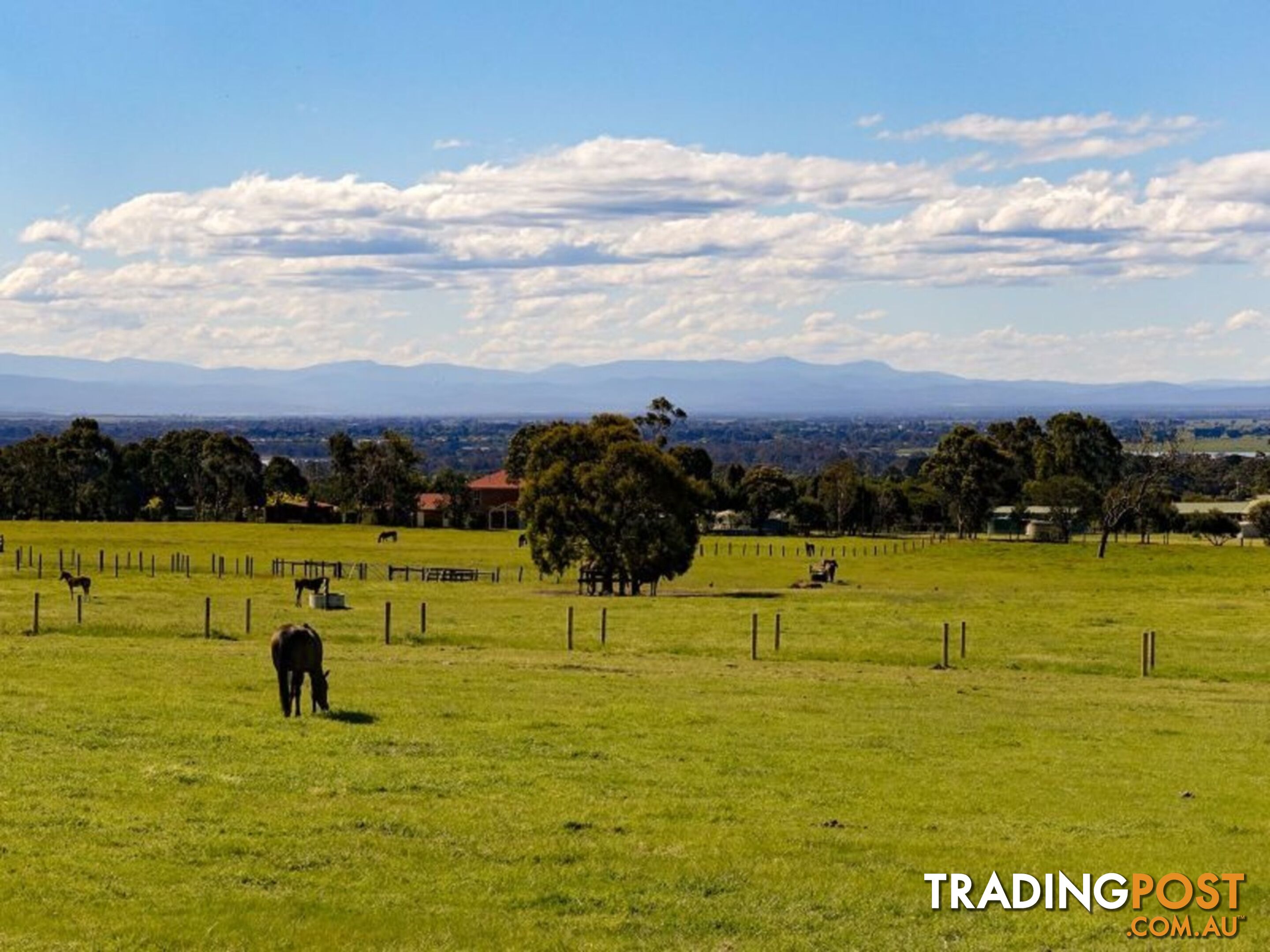 Lot 25 Andrews Road LONGFORD VIC 3851