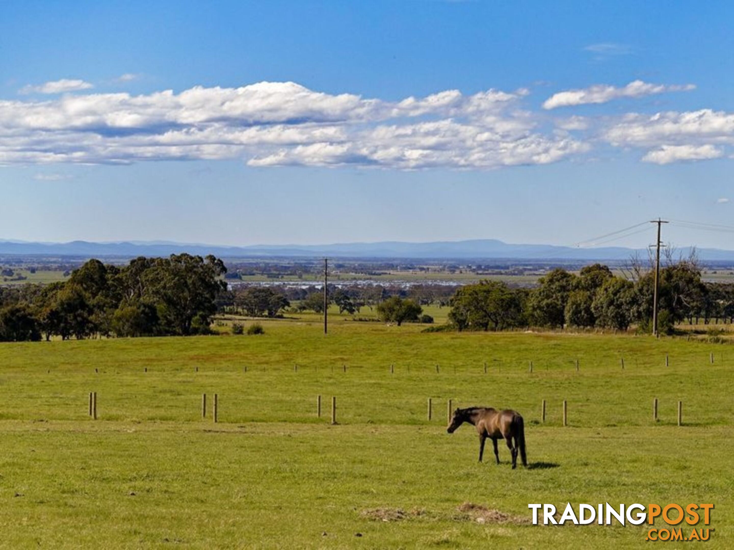 Lot 7 Andrews Road LONGFORD VIC 3851