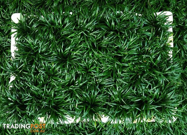 Dwarf / Mini Mondo Grass in Trays of 150+ Plants $109.00 Free Express Post