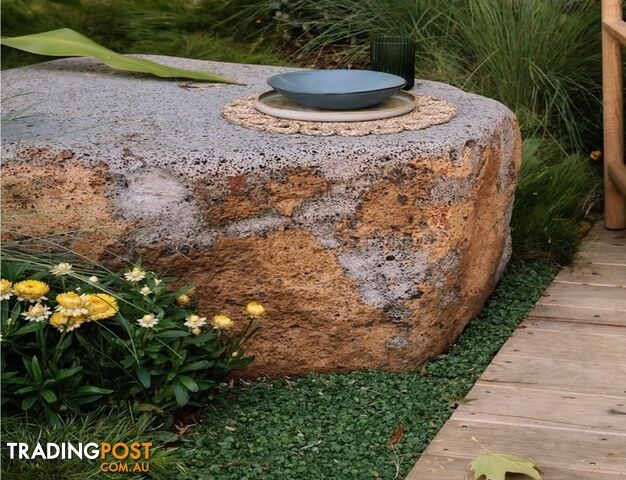 Dichondra Repens Tiny Delight Trays No Mow Lawn - $49.00 per Tray including Free...