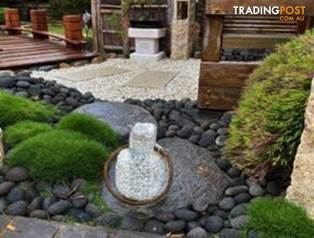 10 x 100mm Pots Korean No Mow Grass $90.00 Free Delivery