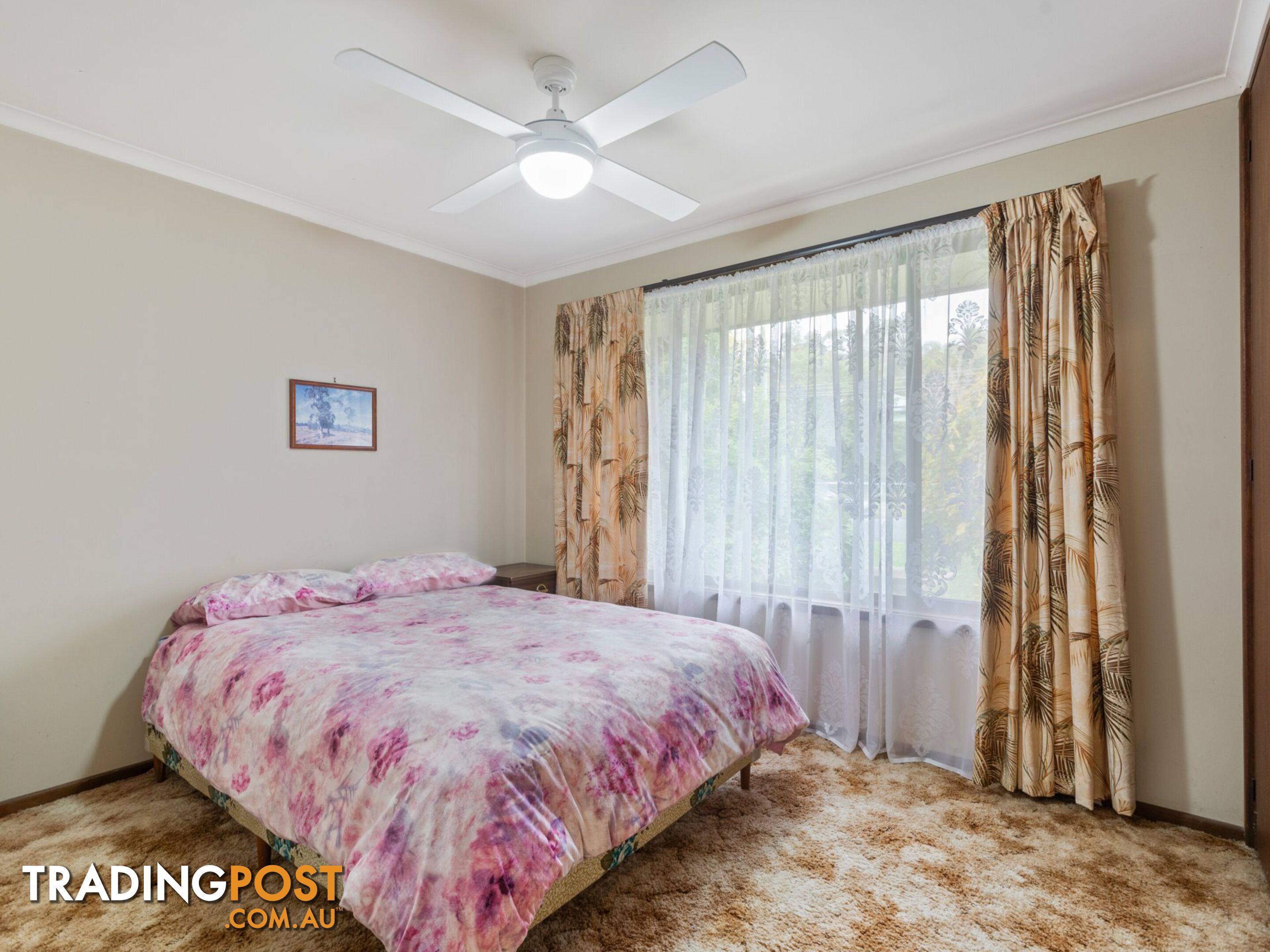 17 High Street BEGA NSW 2550