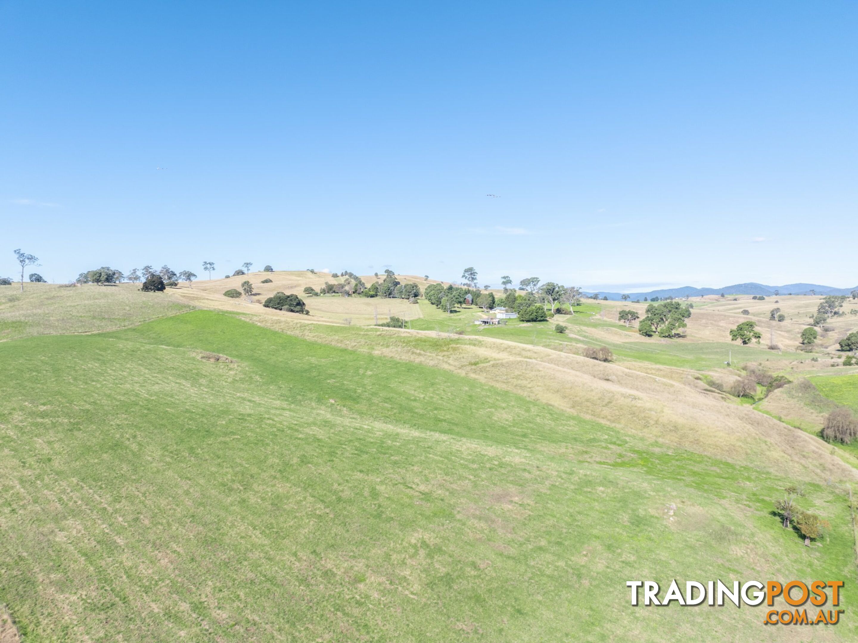 850 Mogilla Road CANDELO NSW 2550