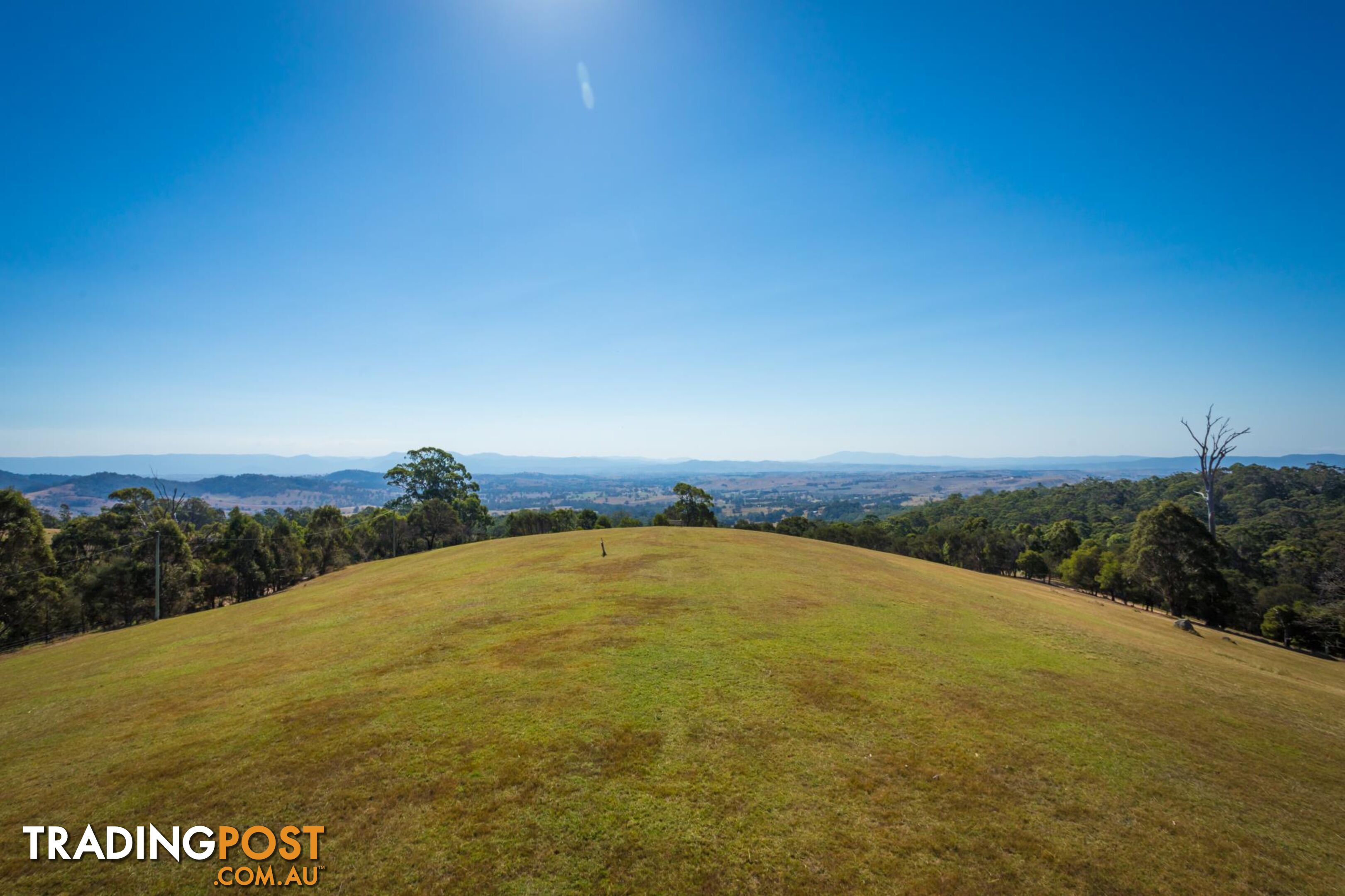 Lot 1339 Radium Ridge Road CANDELO NSW 2550