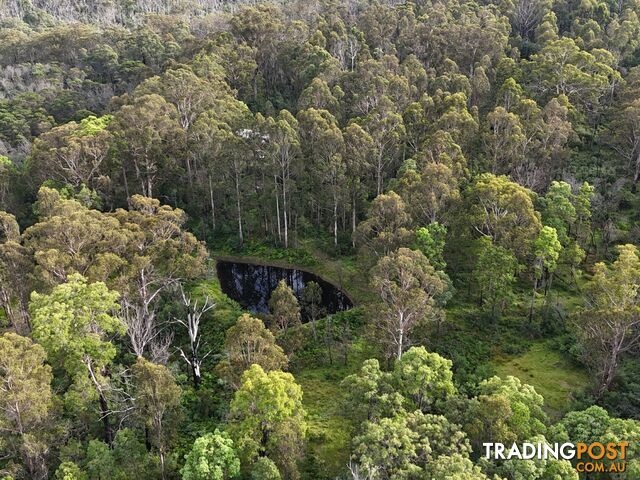 492 Yankees Gap Road BEMBOKA NSW 2550