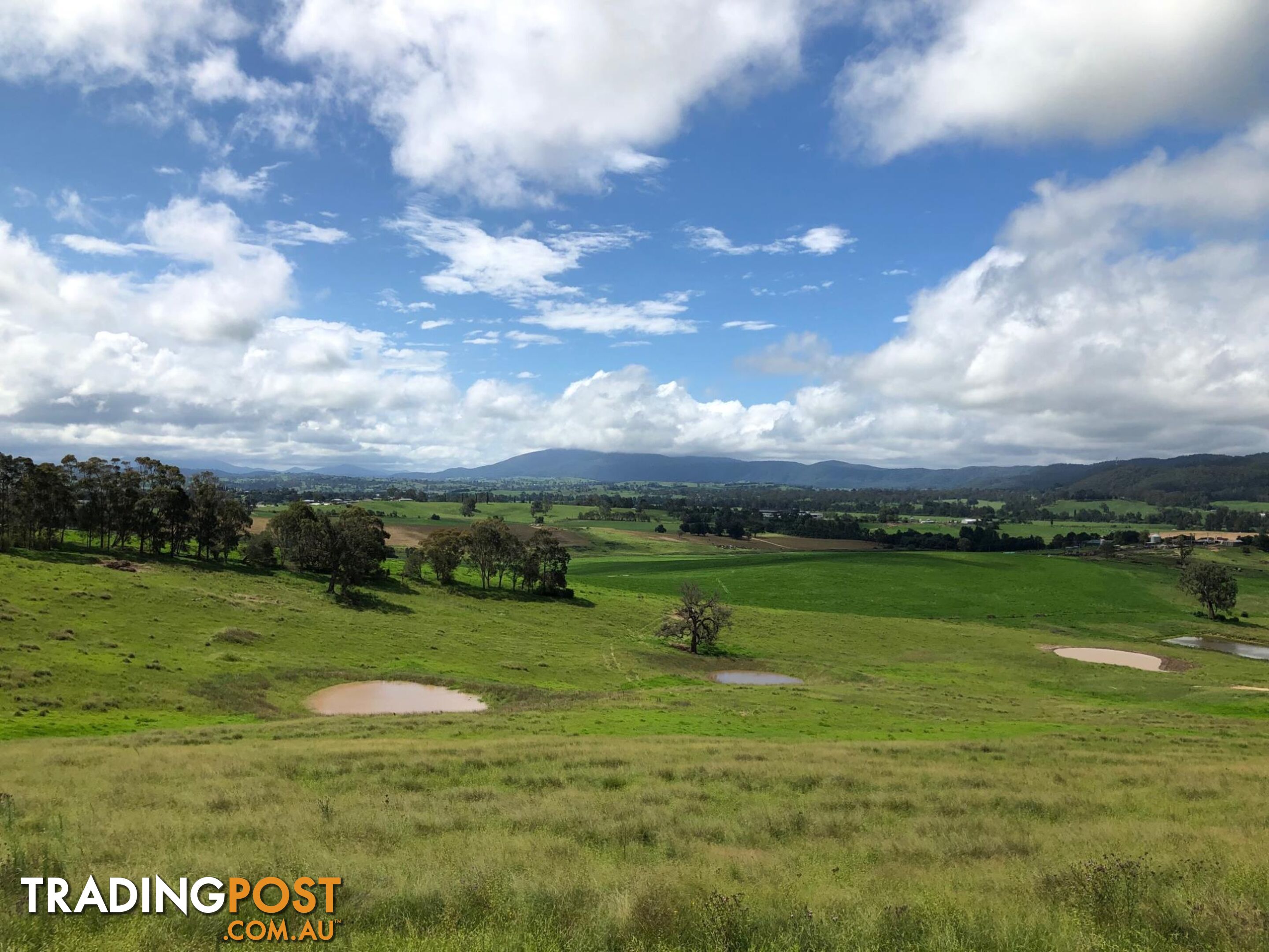 Lot 207 Wumbalwarra Drive BEGA NSW 2550