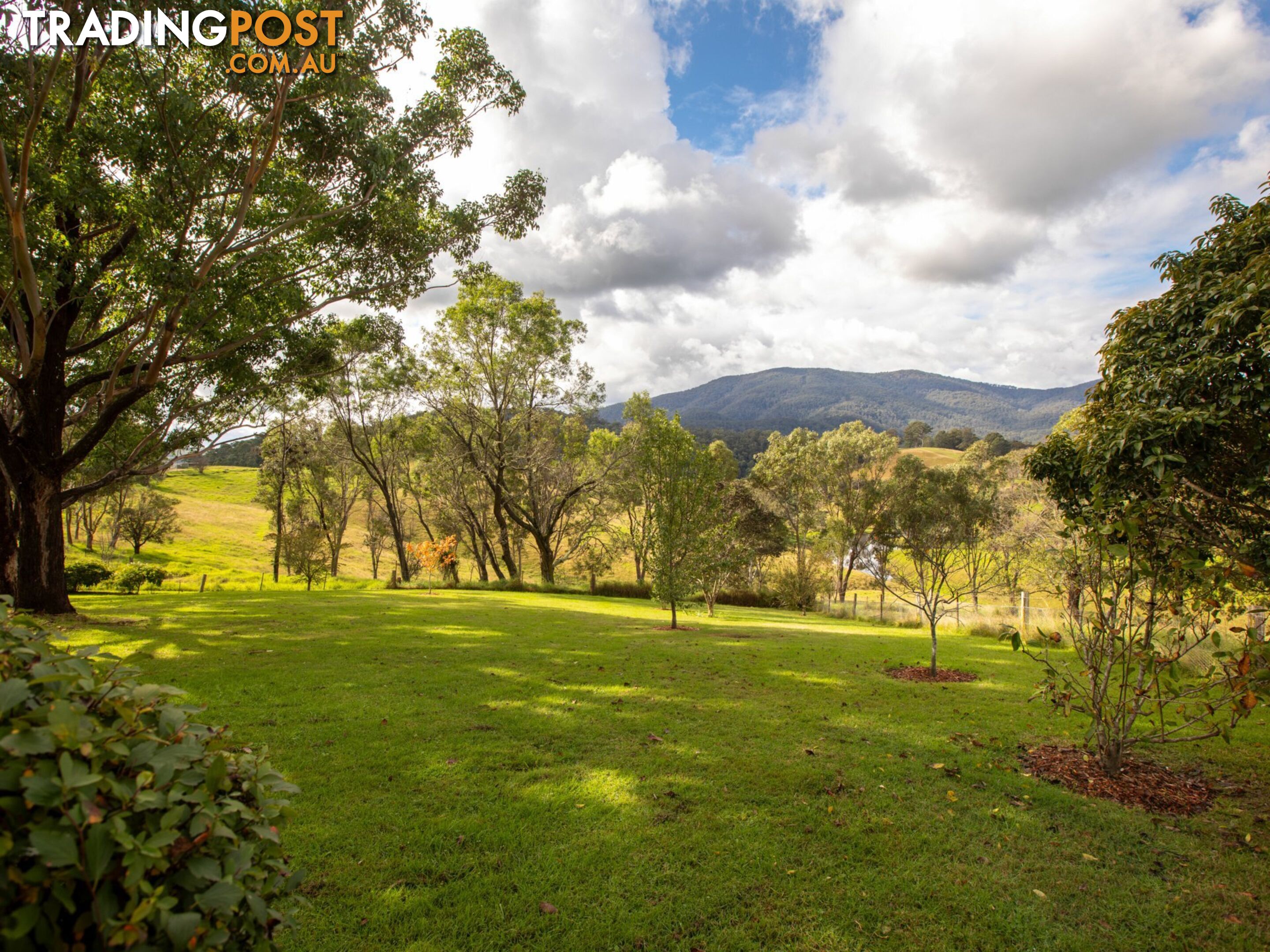 116 Hawks Head Road BROGO NSW 2550