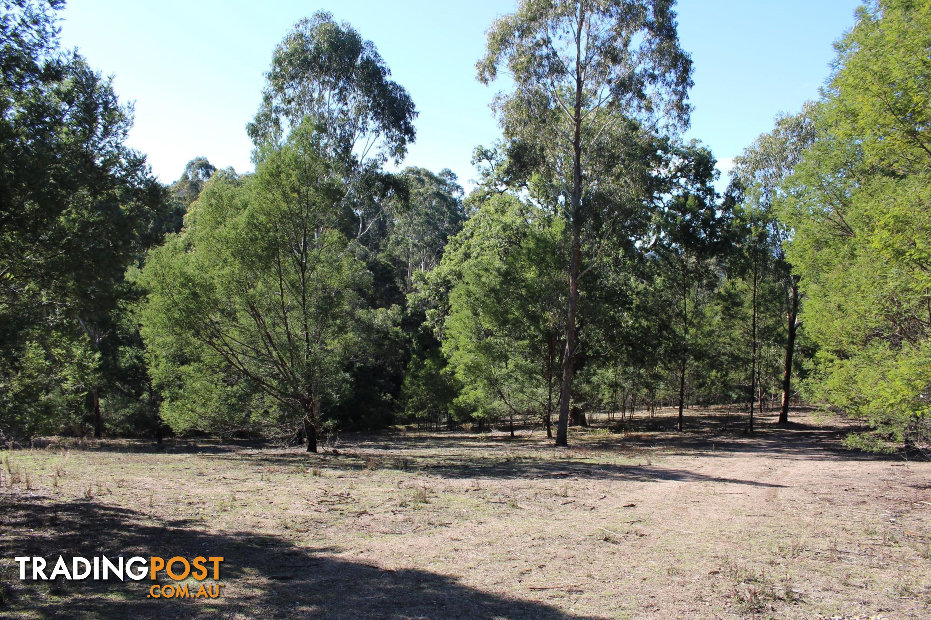 Lot 631 Eagles Nest Rd BROGO NSW 2550