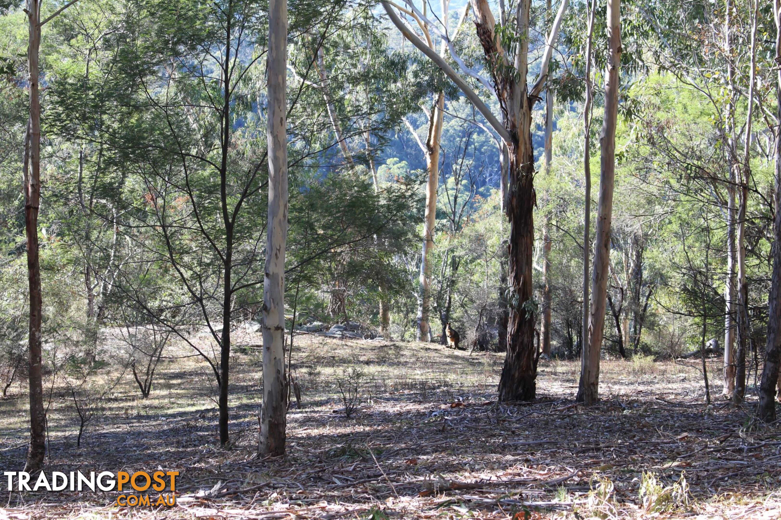 Lot 631 Eagles Nest Rd BROGO NSW 2550