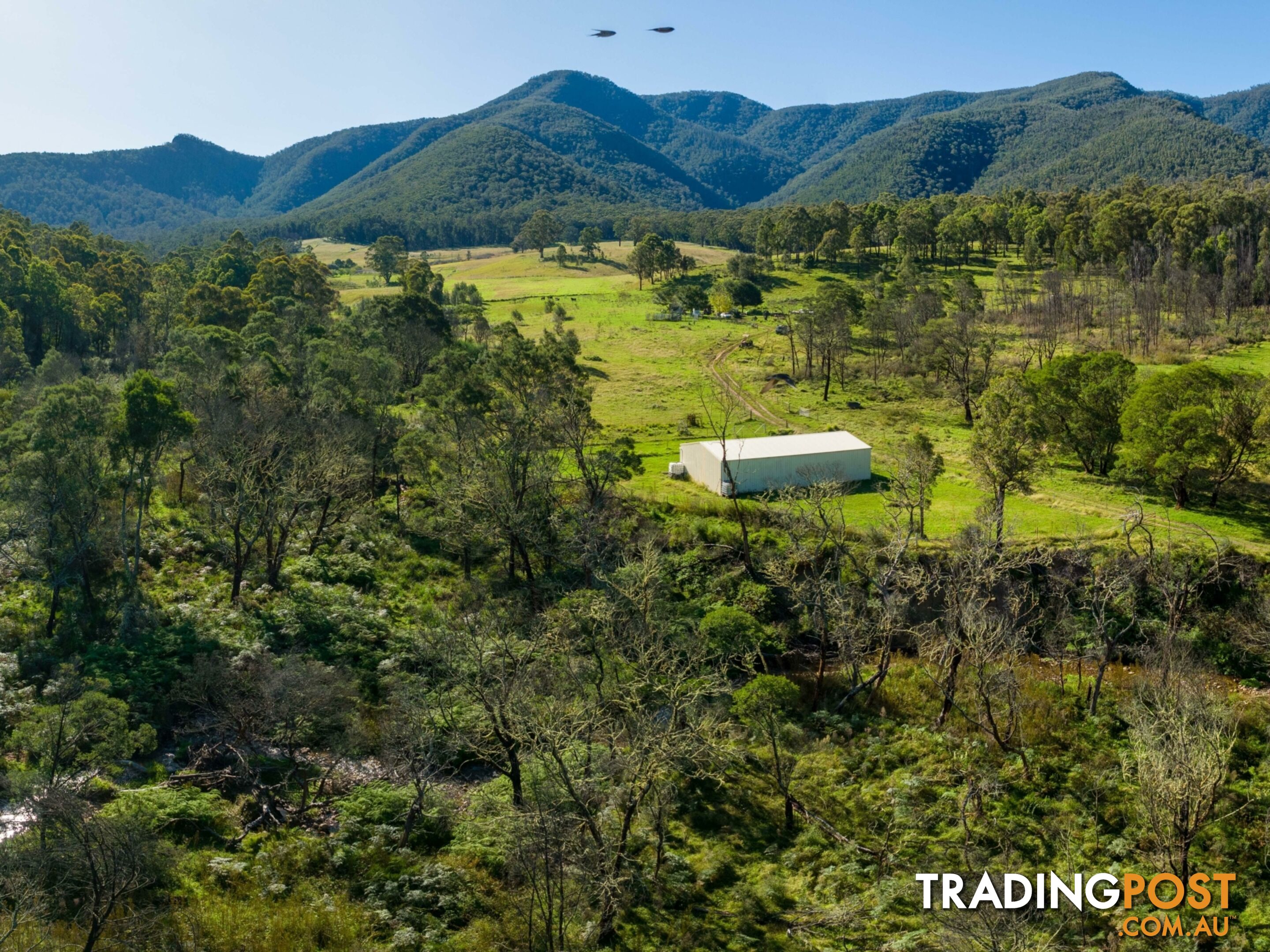 27 Yankees Gap Road Fire Trail BEMBOKA NSW 2550