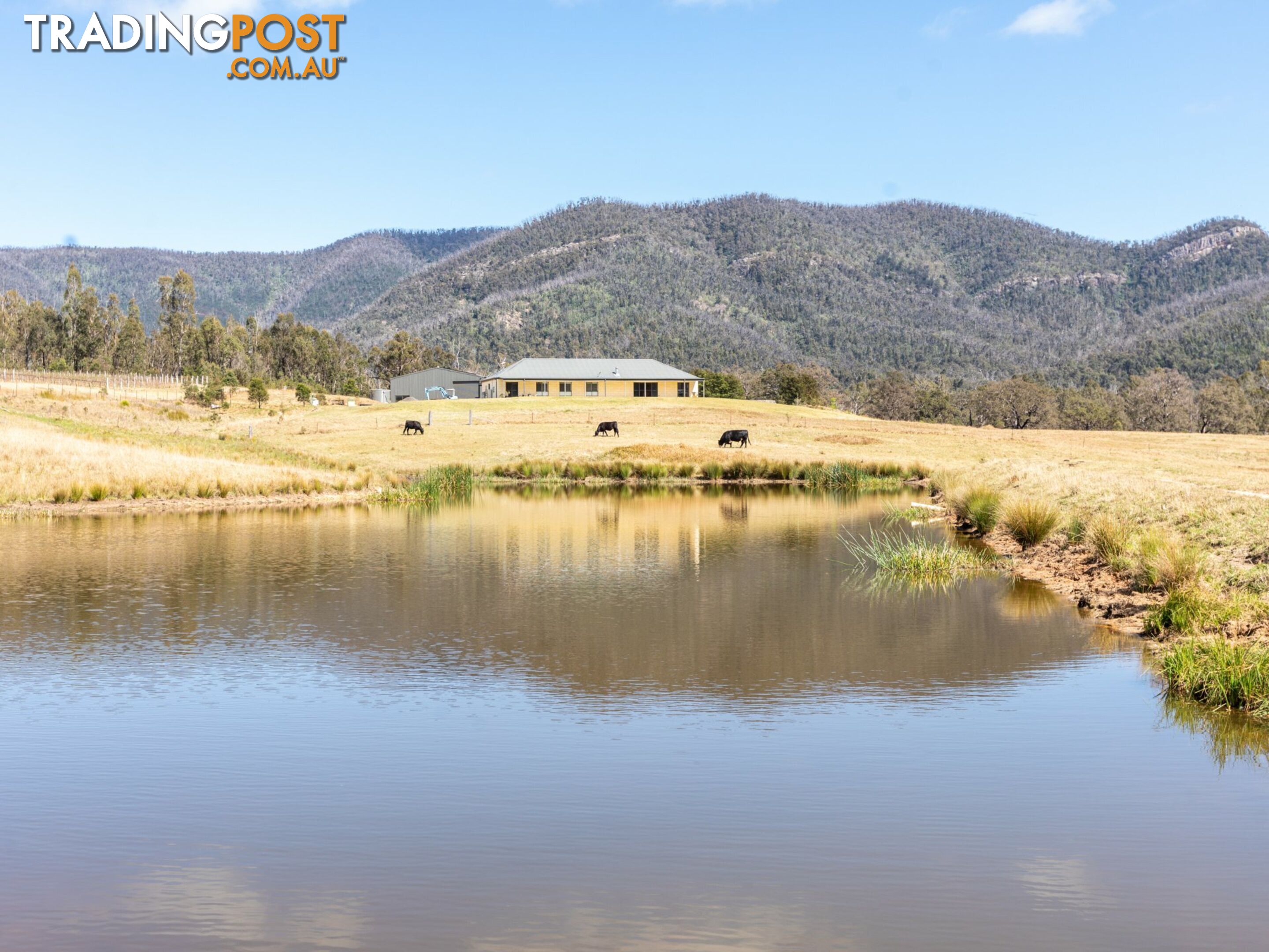 277 Bourkes Road COBARGO NSW 2550