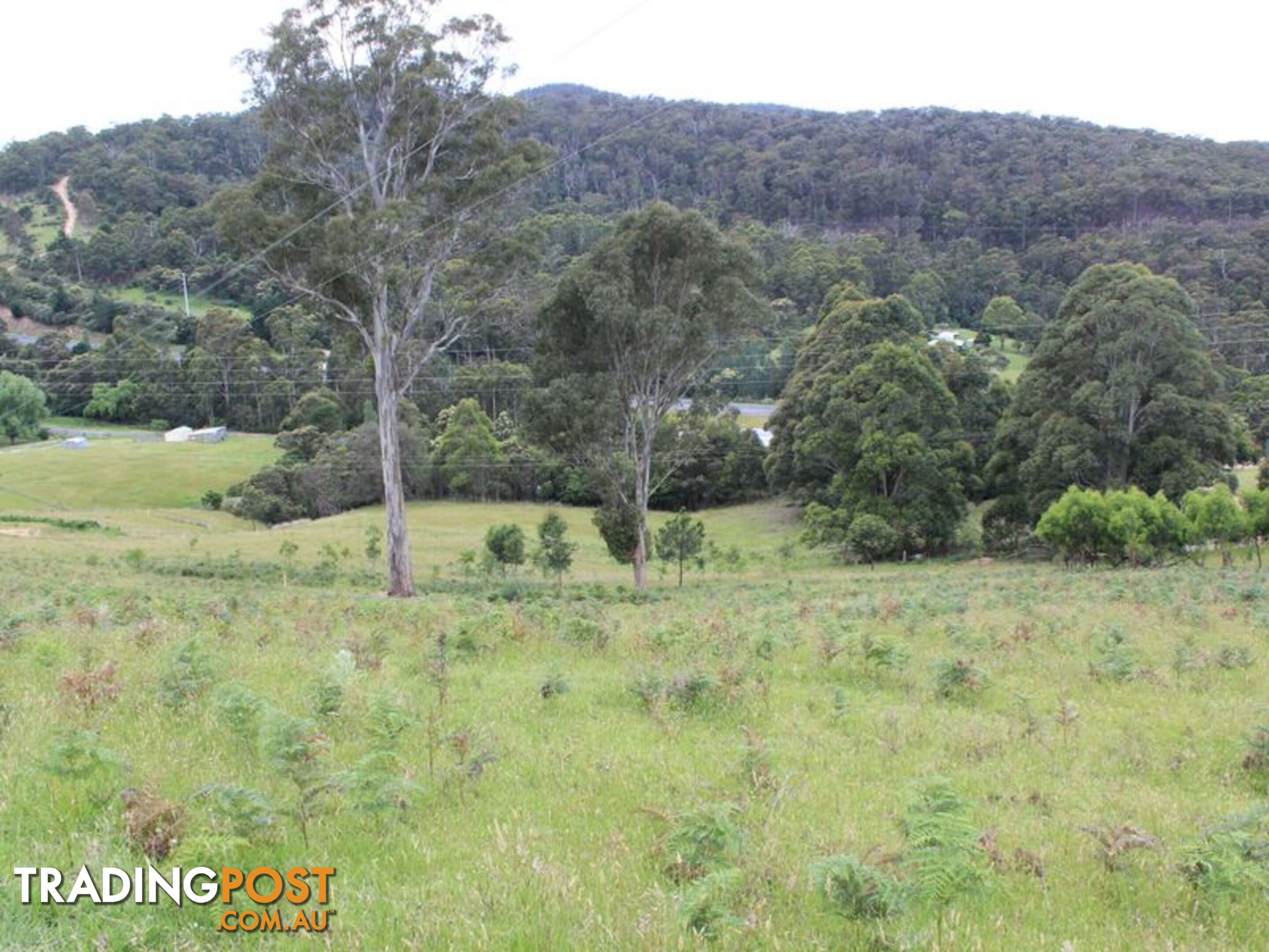 Lot 662 Mine Lane WOLUMLA NSW 2550