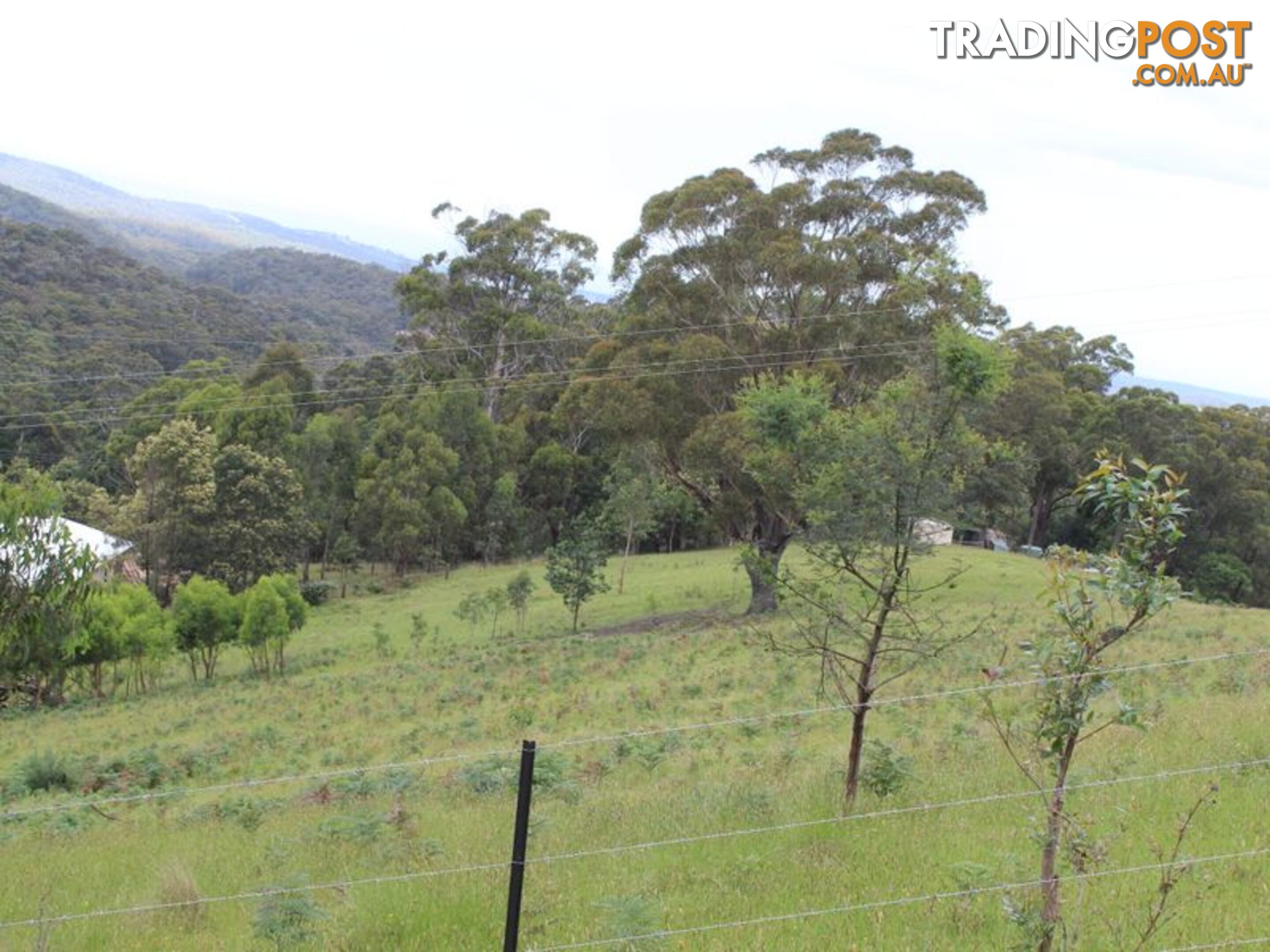 Lot 662 Mine Lane WOLUMLA NSW 2550