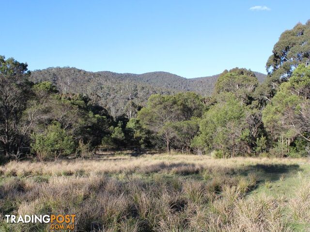 459 Devils Hole Road WYNDHAM NSW 2550