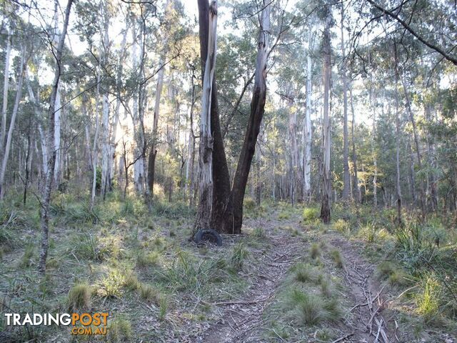 459 Devils Hole Road WYNDHAM NSW 2550