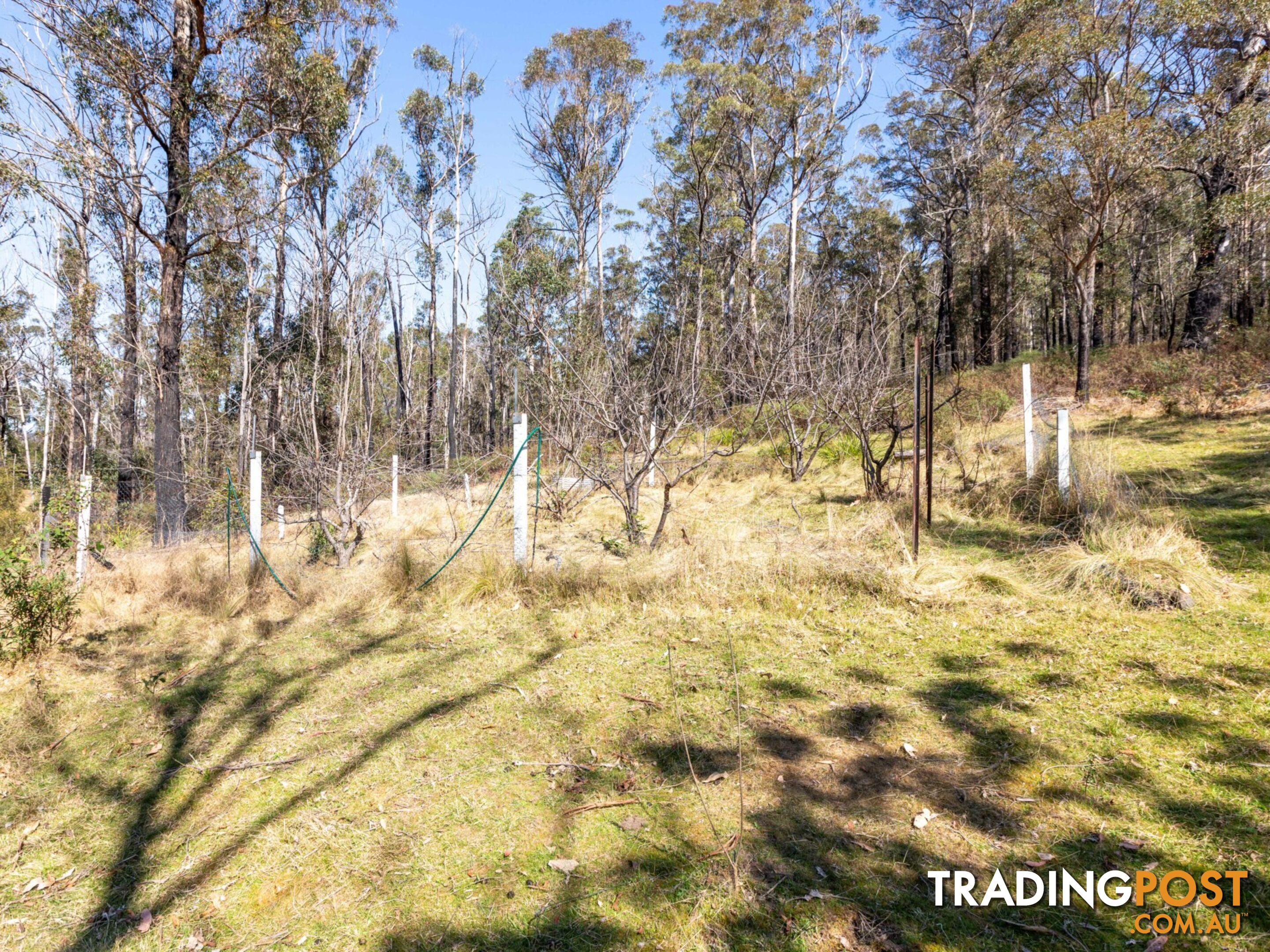 798 Yankees Gap Road BEMBOKA NSW 2550