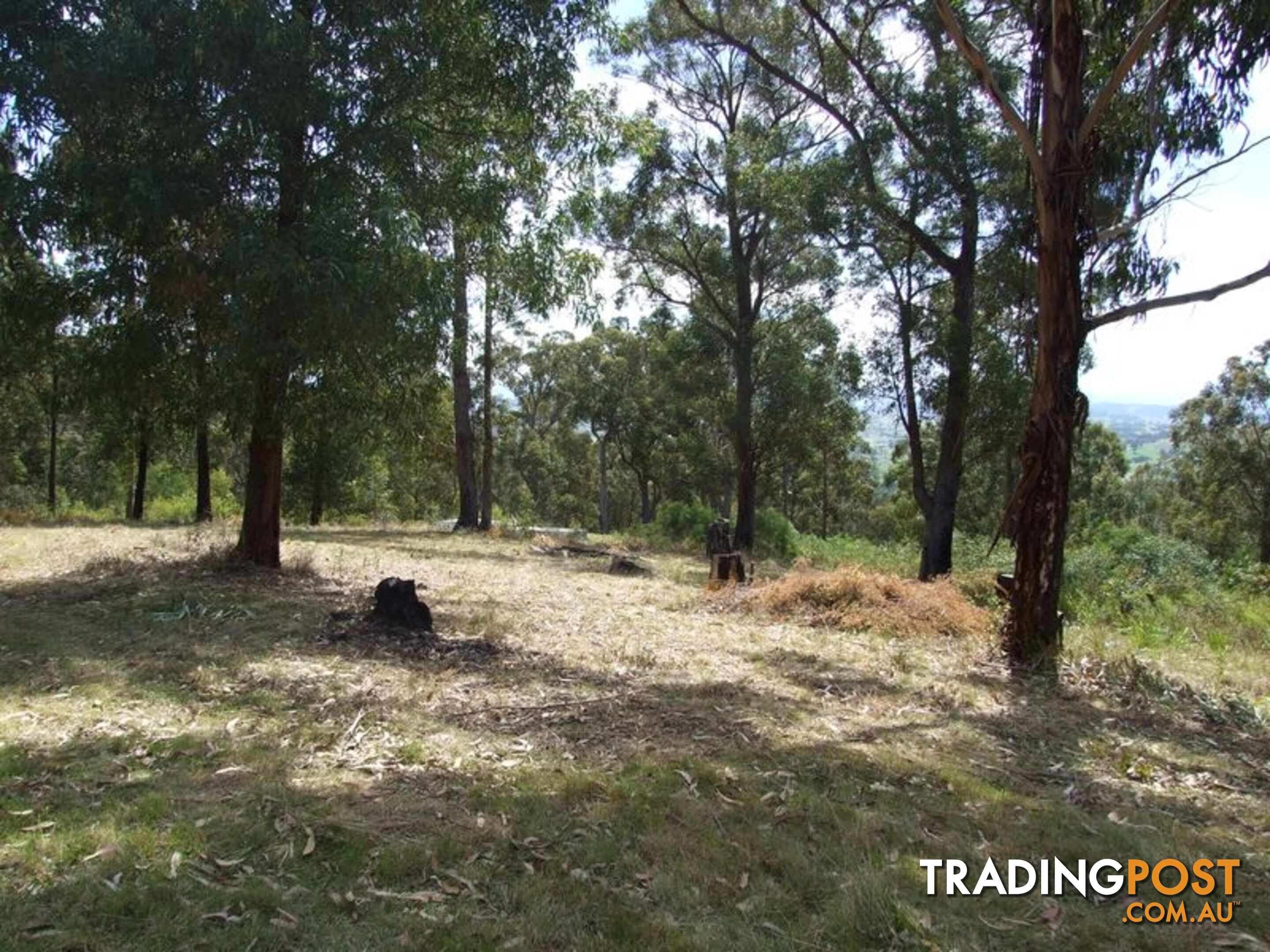 Lot 150 Dr George Mountain Road TARRAGANDA NSW 2550