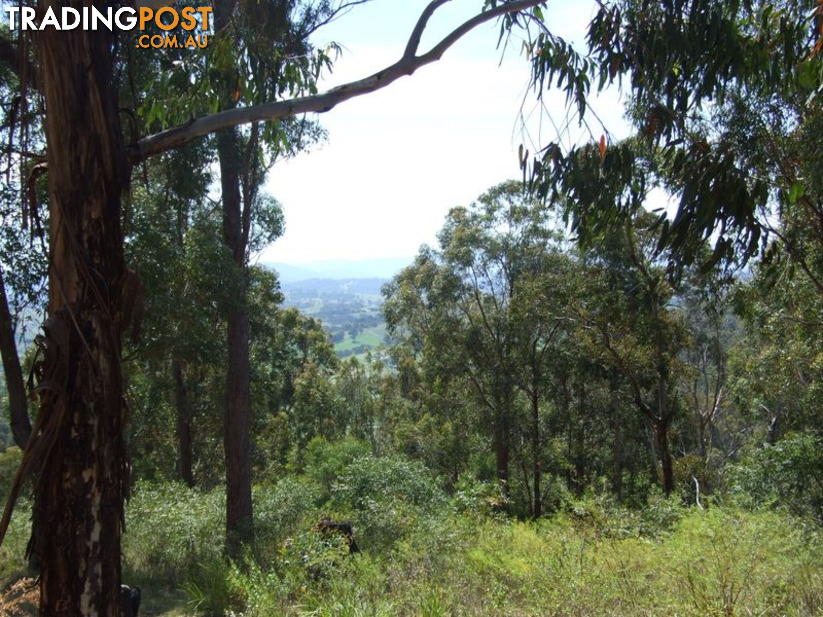 Lot 150 Dr George Mountain Road TARRAGANDA NSW 2550