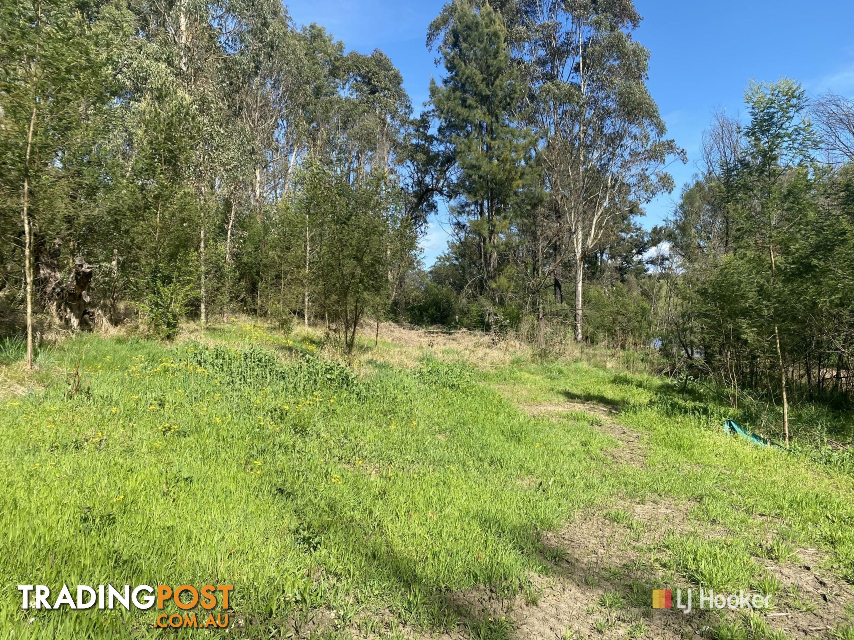 Lot 9, 10, Princes Highway COBARGO NSW 2550