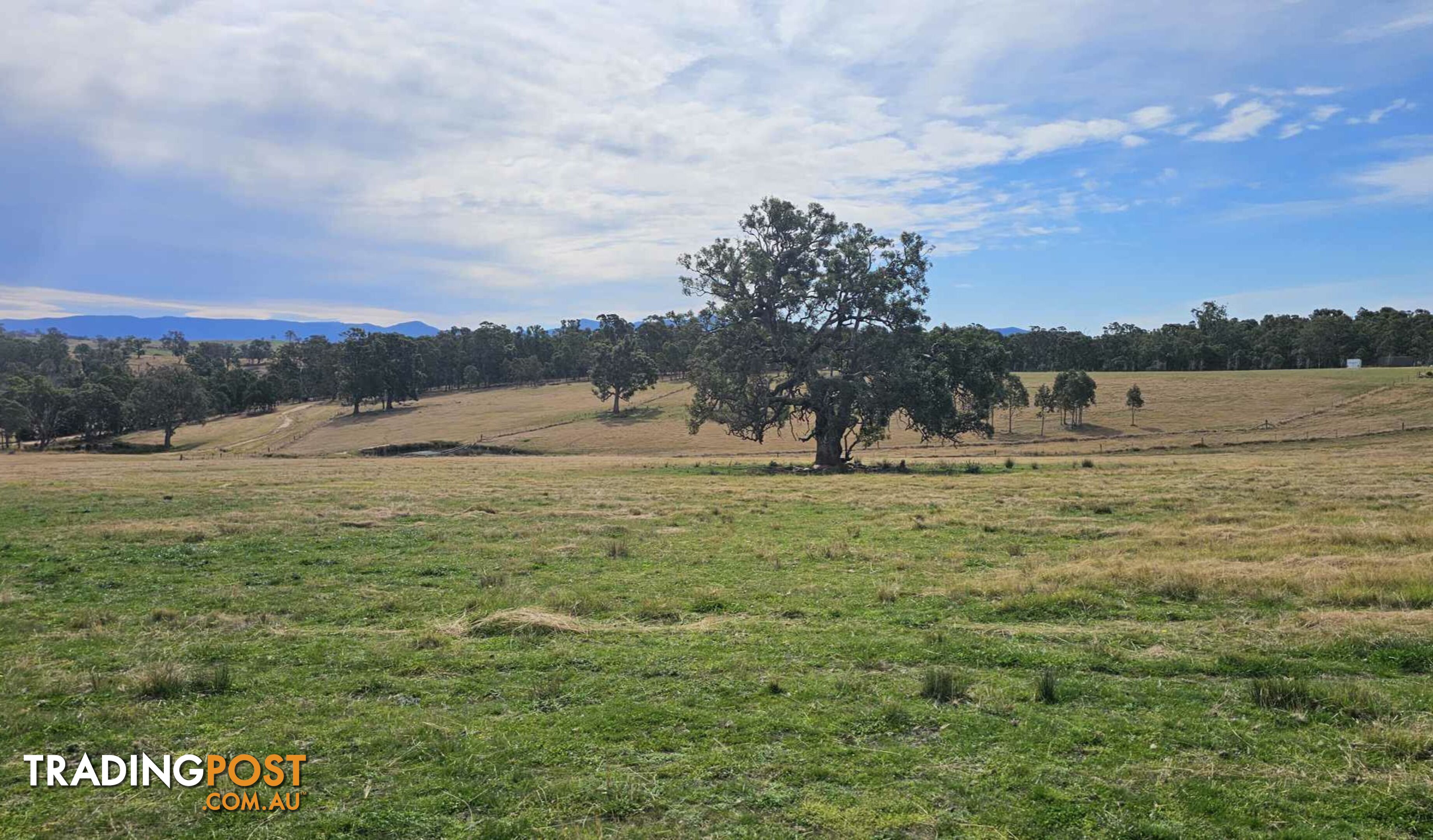 Lot 13 DP1102840 Slaters Lane CANDELO NSW 2550