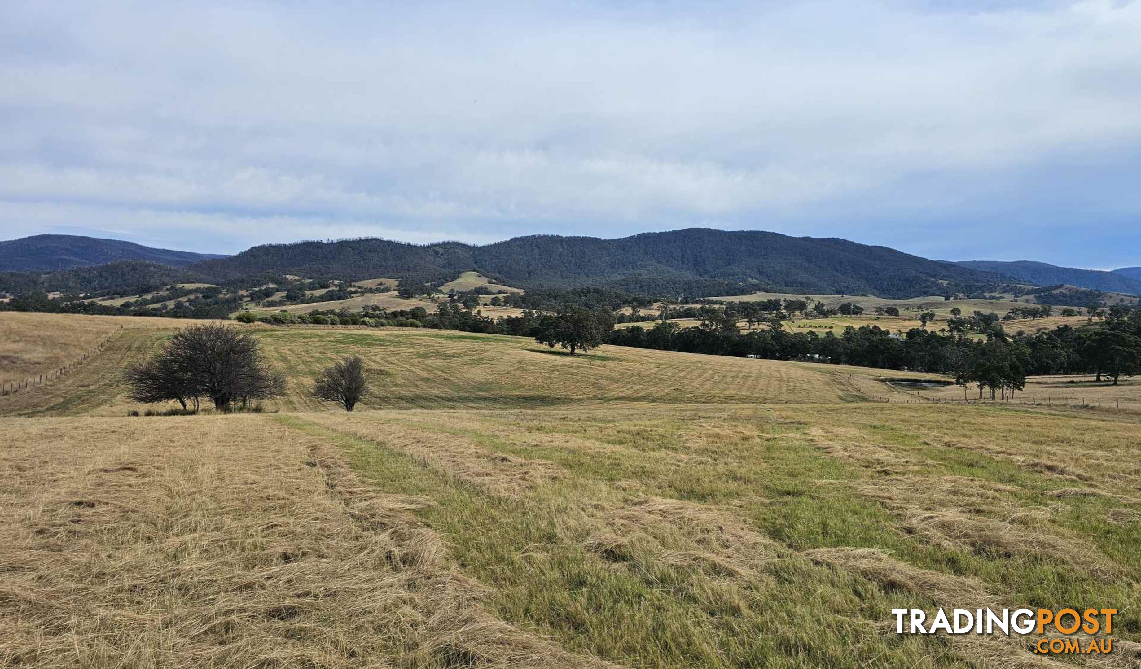 Lot 13 DP1102840 Slaters Lane CANDELO NSW 2550