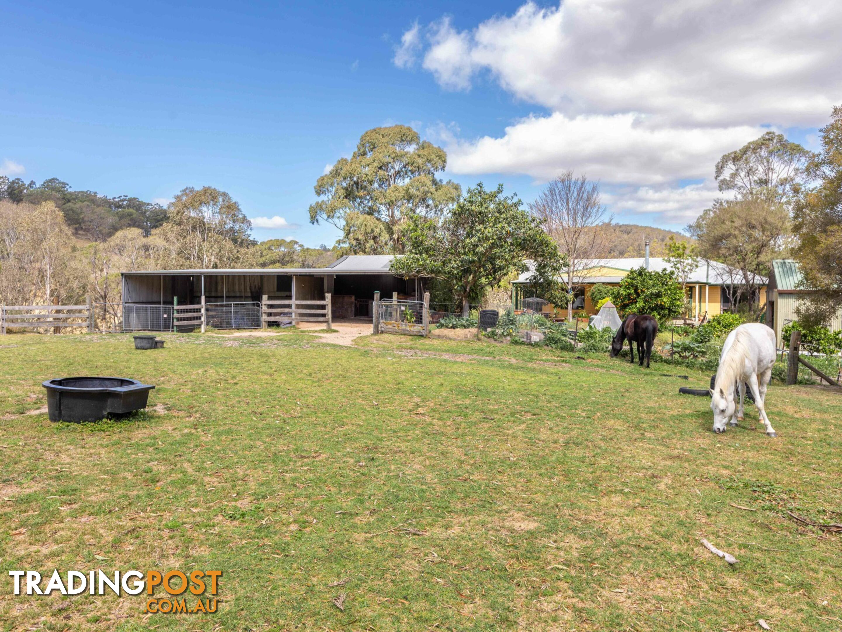 179 Hawks Head Road BROGO NSW 2550