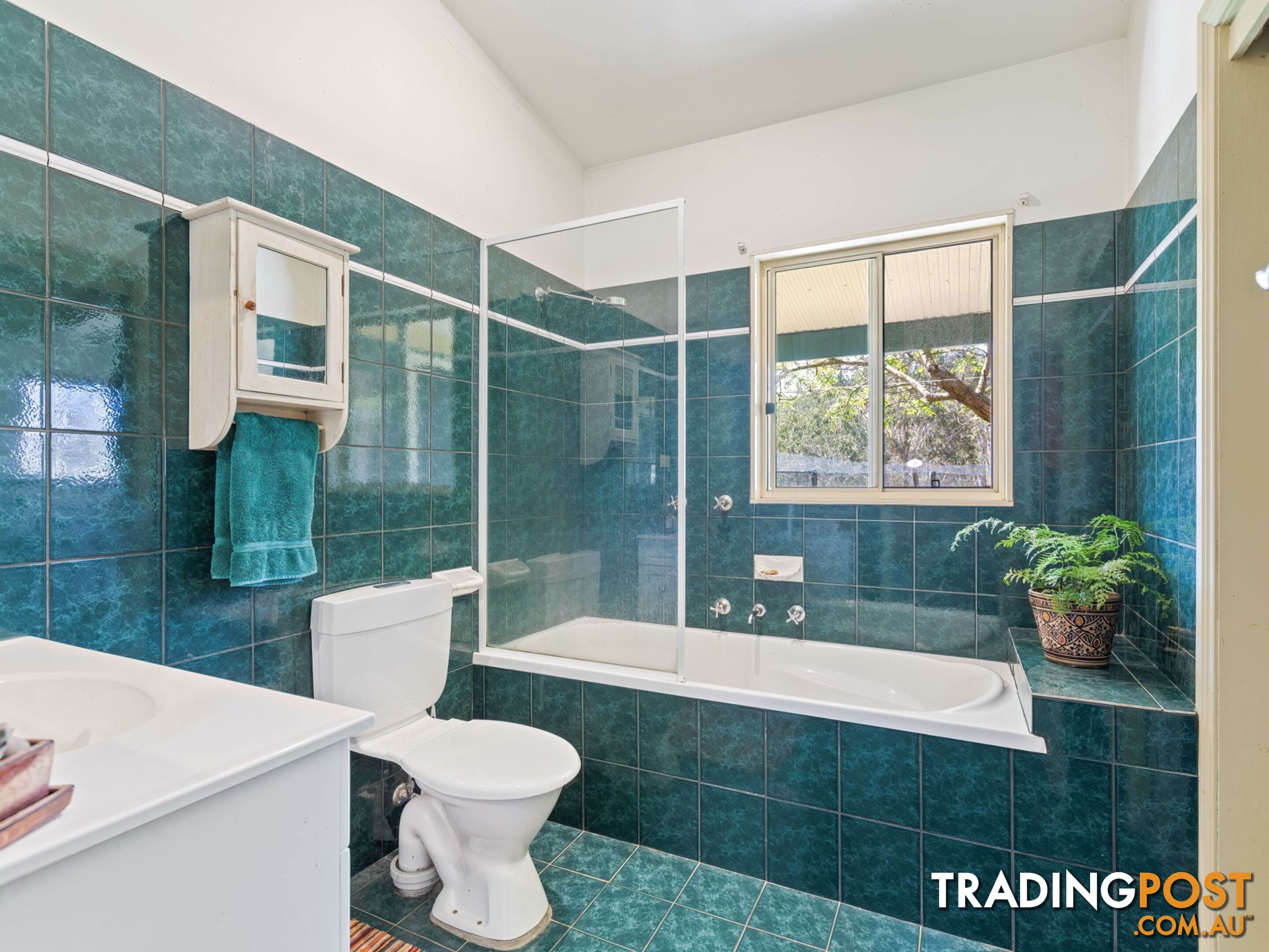 179 Hawks Head Road BROGO NSW 2550