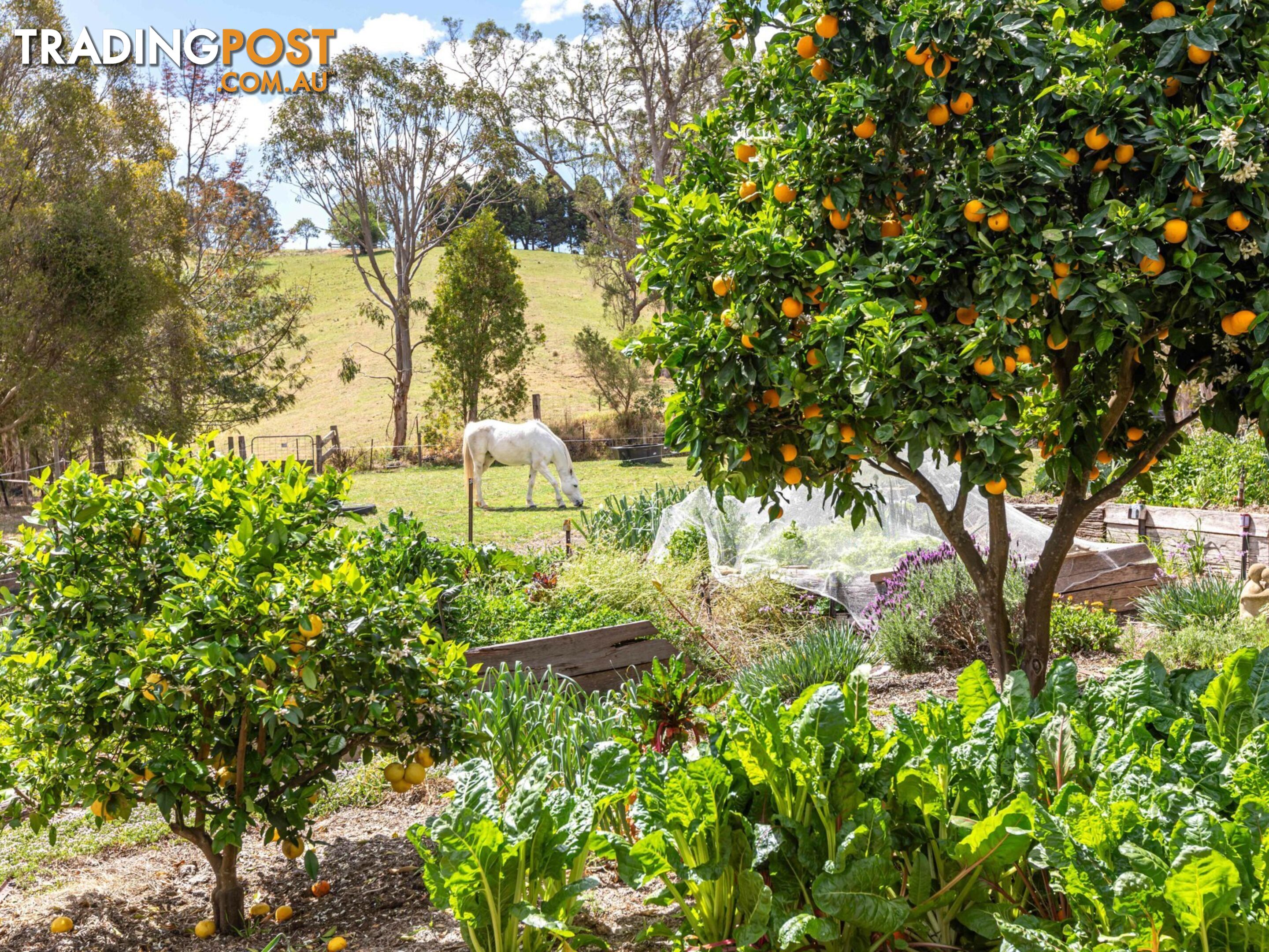 179 Hawks Head Road BROGO NSW 2550