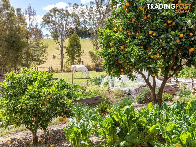 179 Hawks Head Road BROGO NSW 2550