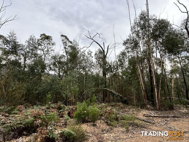 Lot 22 DP Wattlegrove Road COBARGO NSW 2550