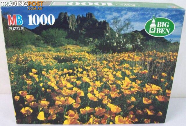Big Ben MB Jigsaw Puzzle - Field of Poppies, Ajo Mountains, AZ