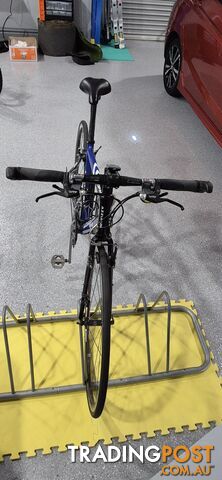 Azzurri Opal Road Bicycle