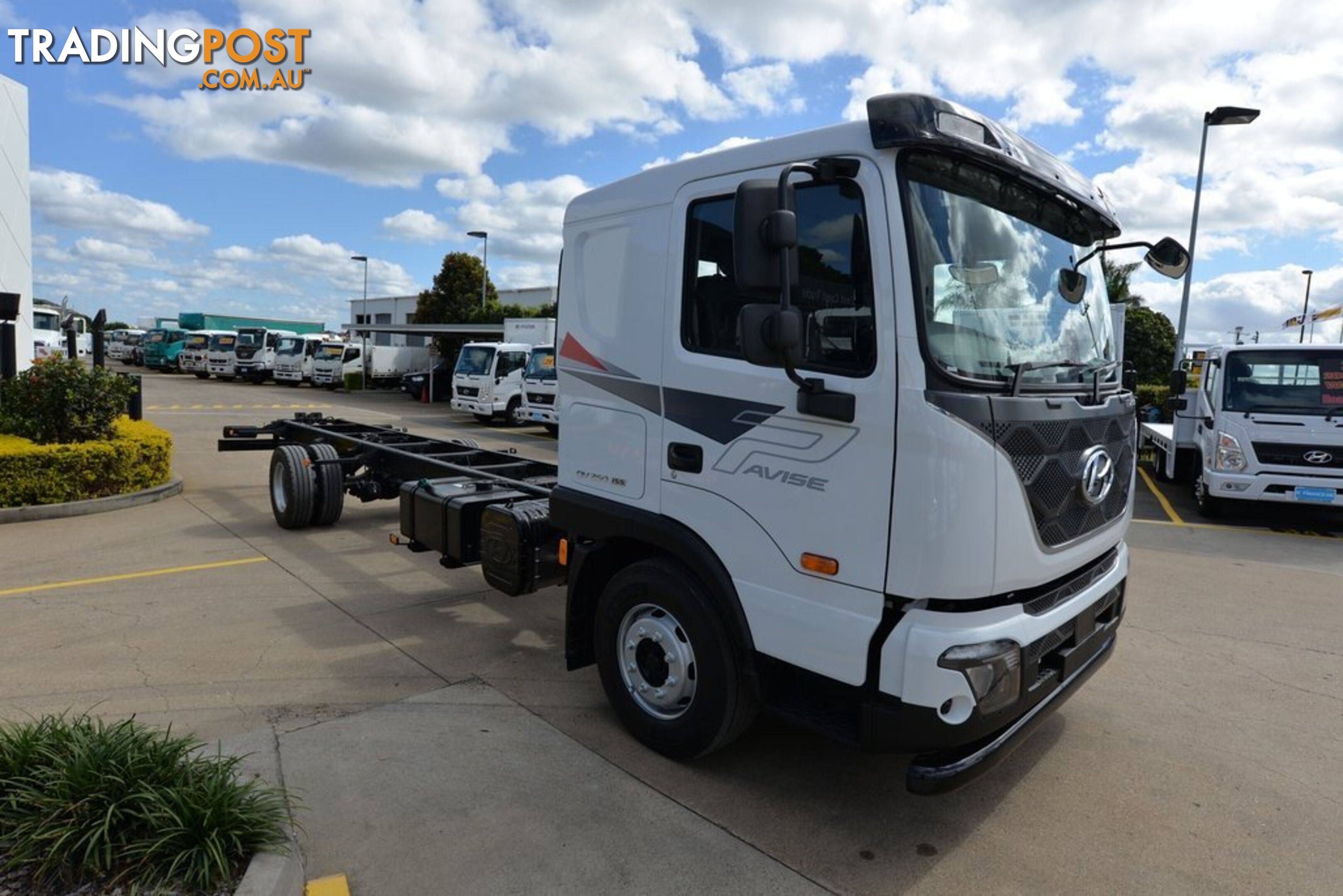 2025 Hyundai D115 Pavise  ULWB|TAUTLINER