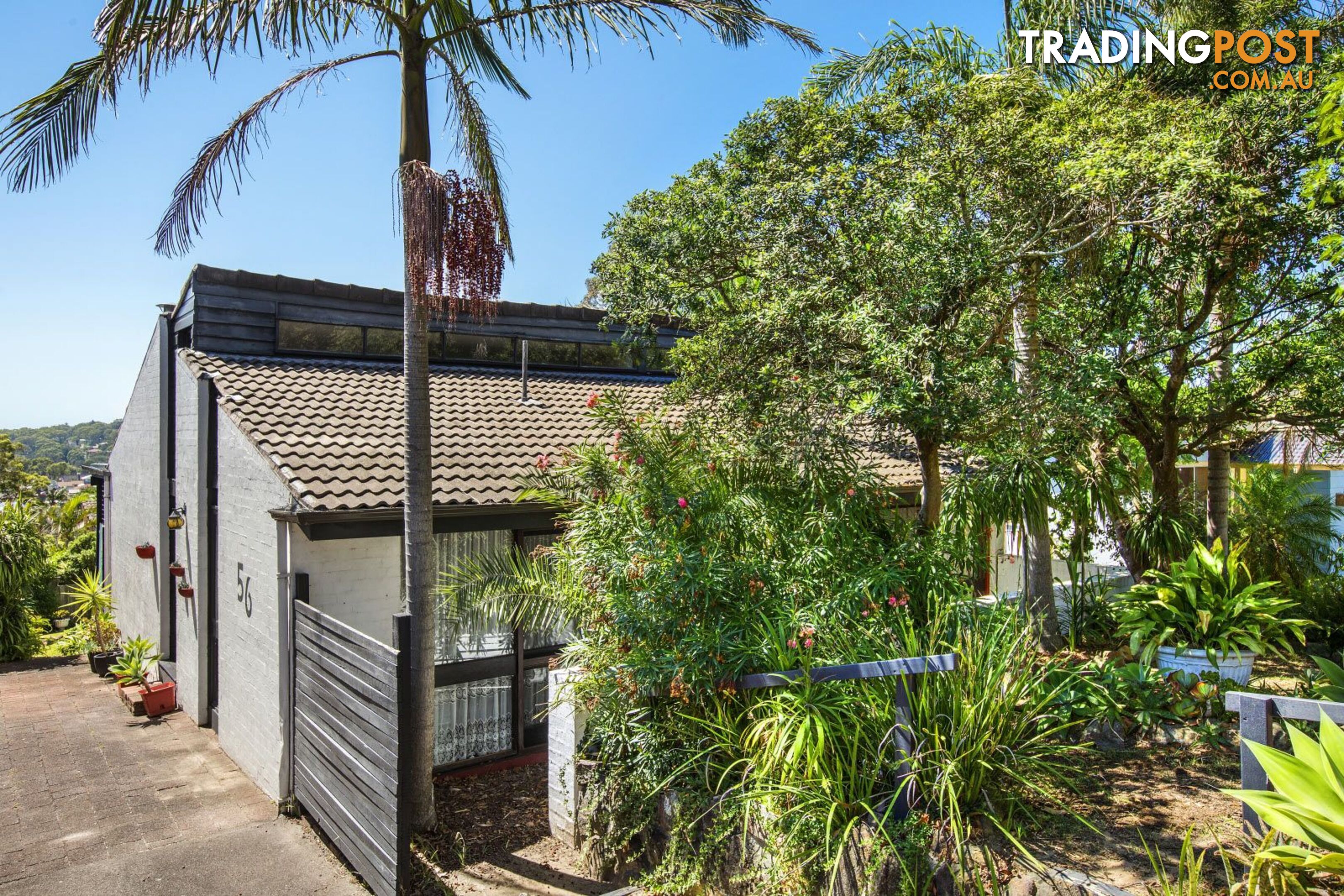 56 Promenade Avenue BATEAU BAY NSW 2261